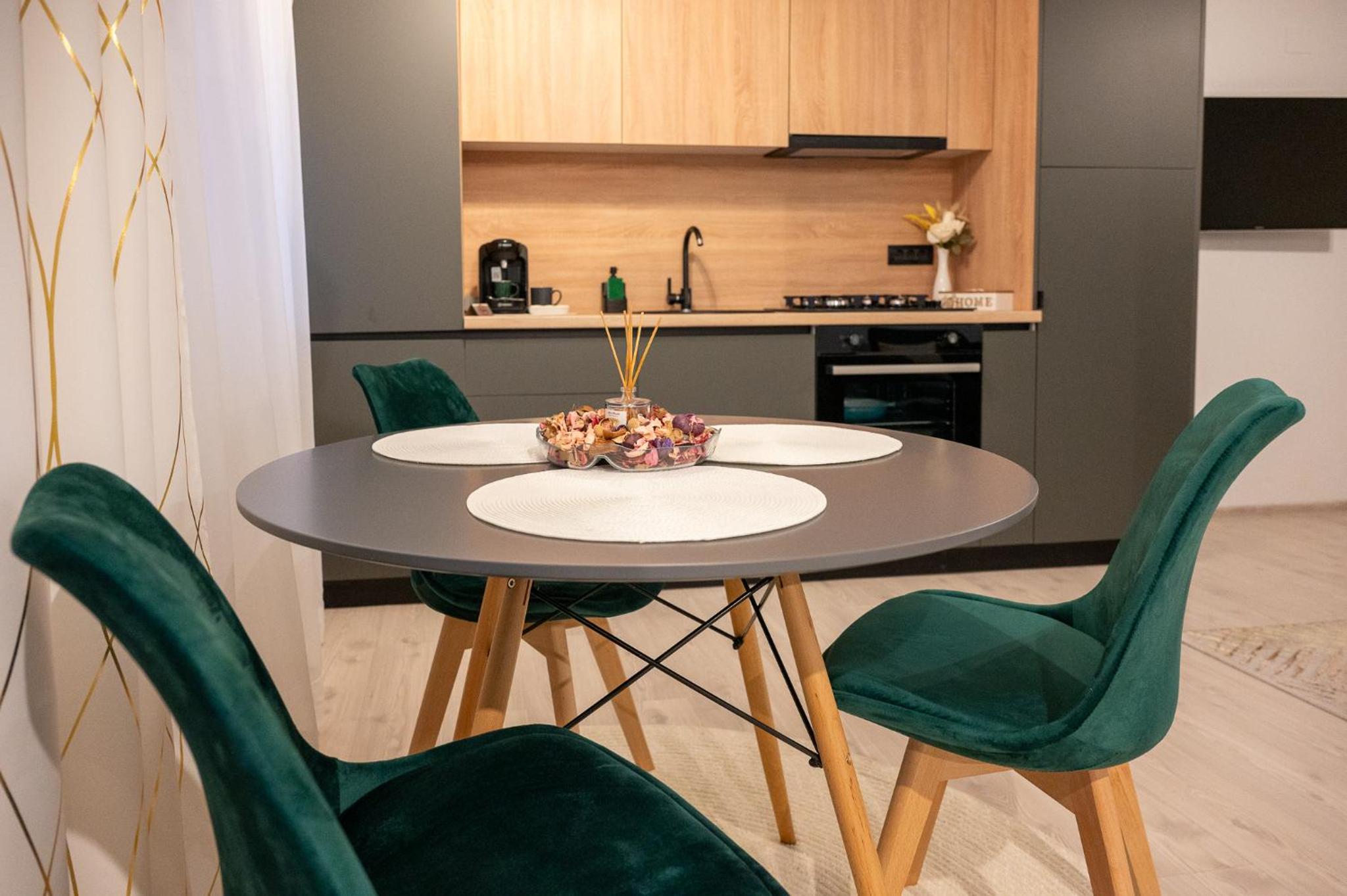 Luna Residence Timisoara Ap 1 view 3