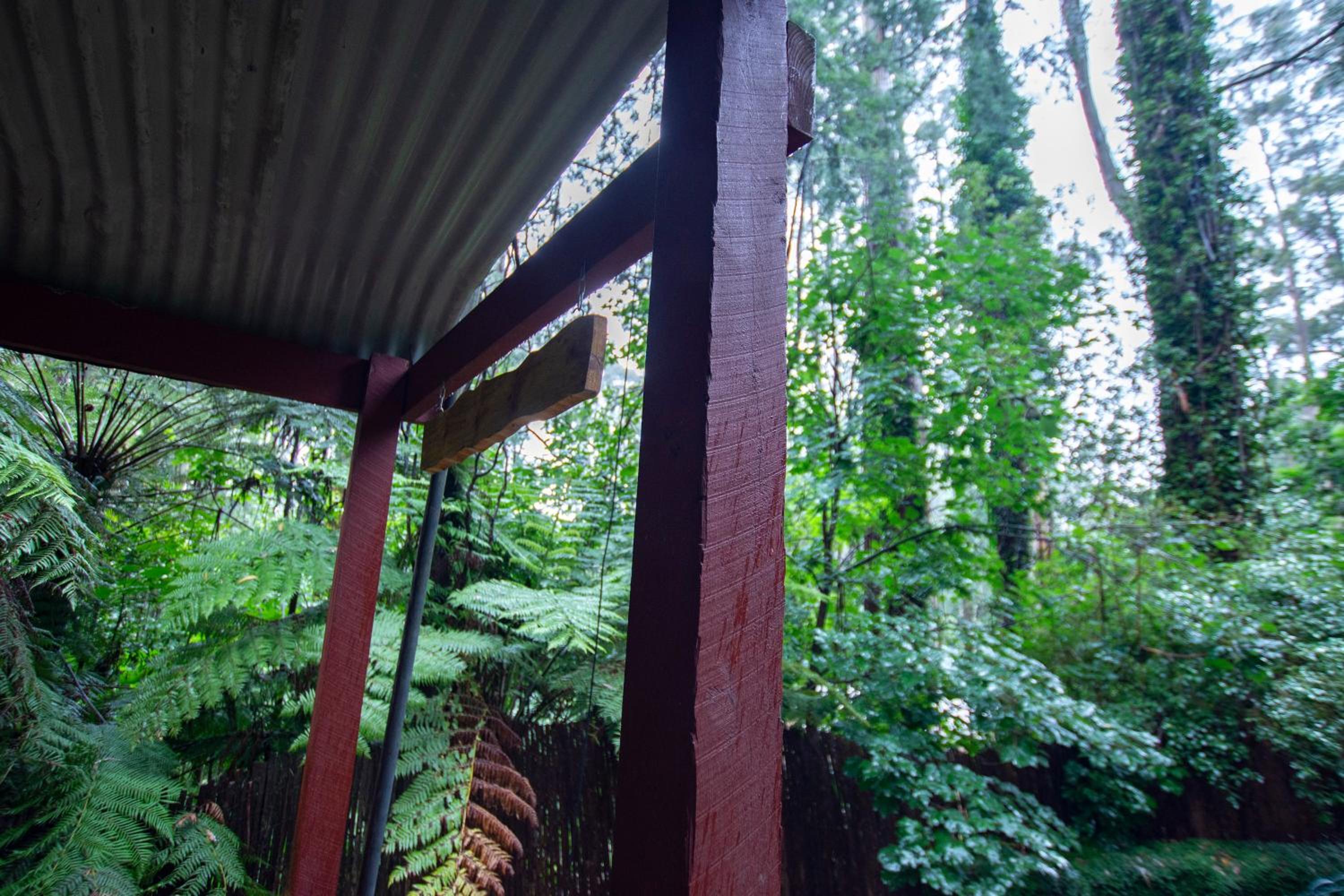 The Fernglen Forest Retreat