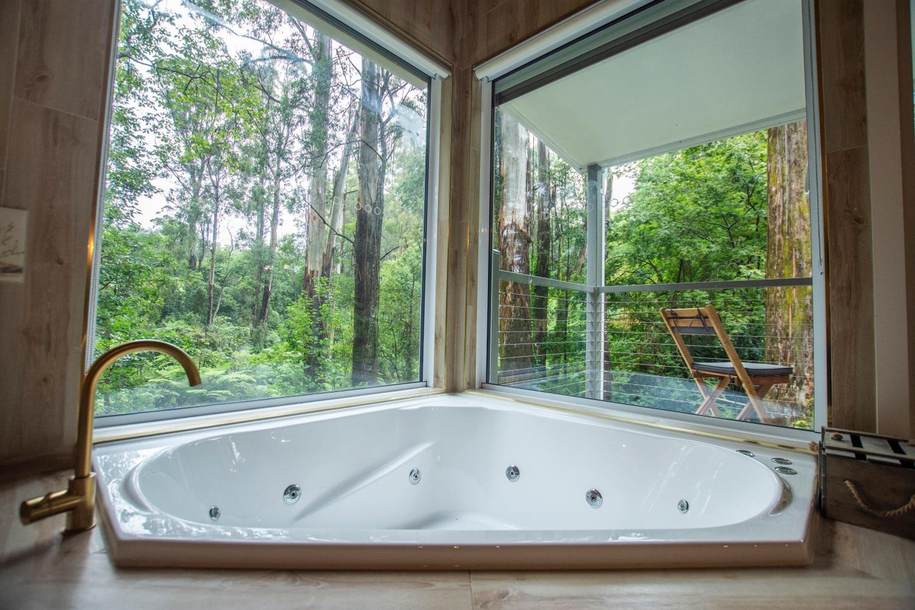 The Fernglen Forest Retreat
