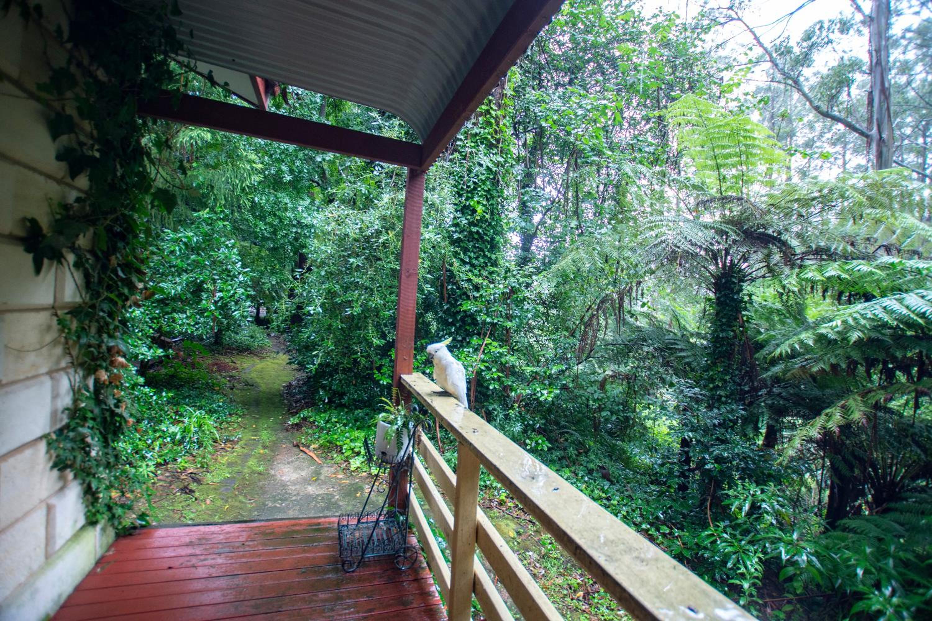 The Fernglen Forest Retreat