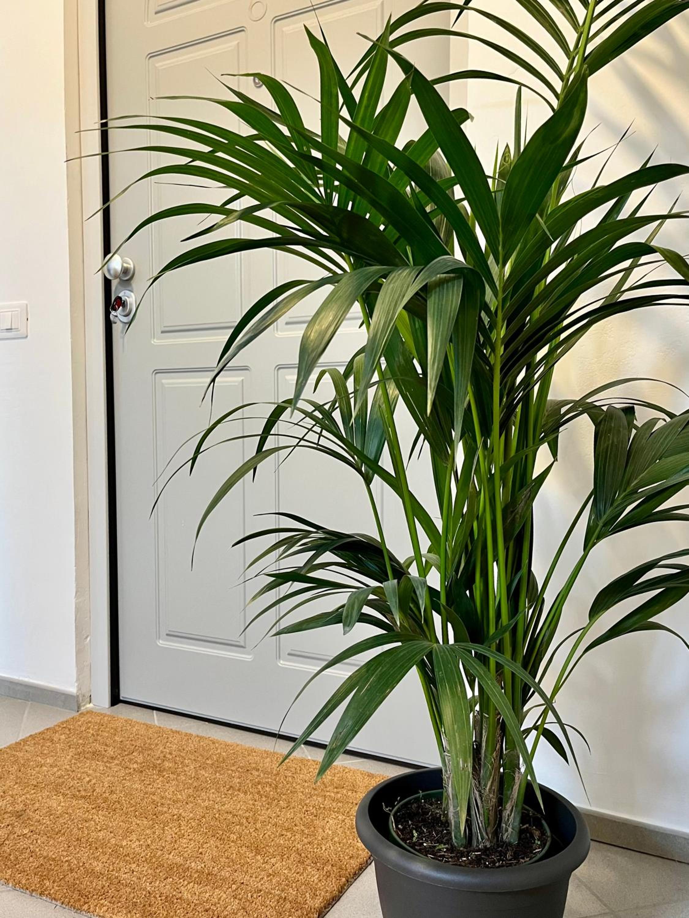 San Martino Holiday Apartments