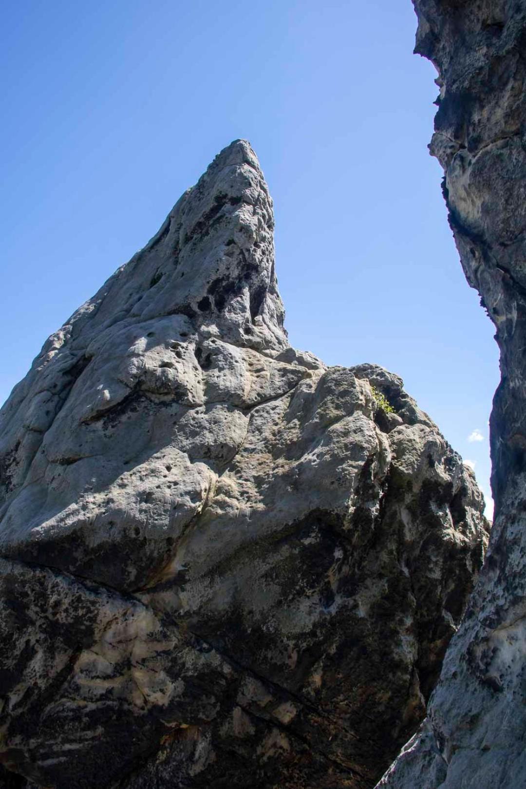 JS Feriendomizile: FeWo Nest