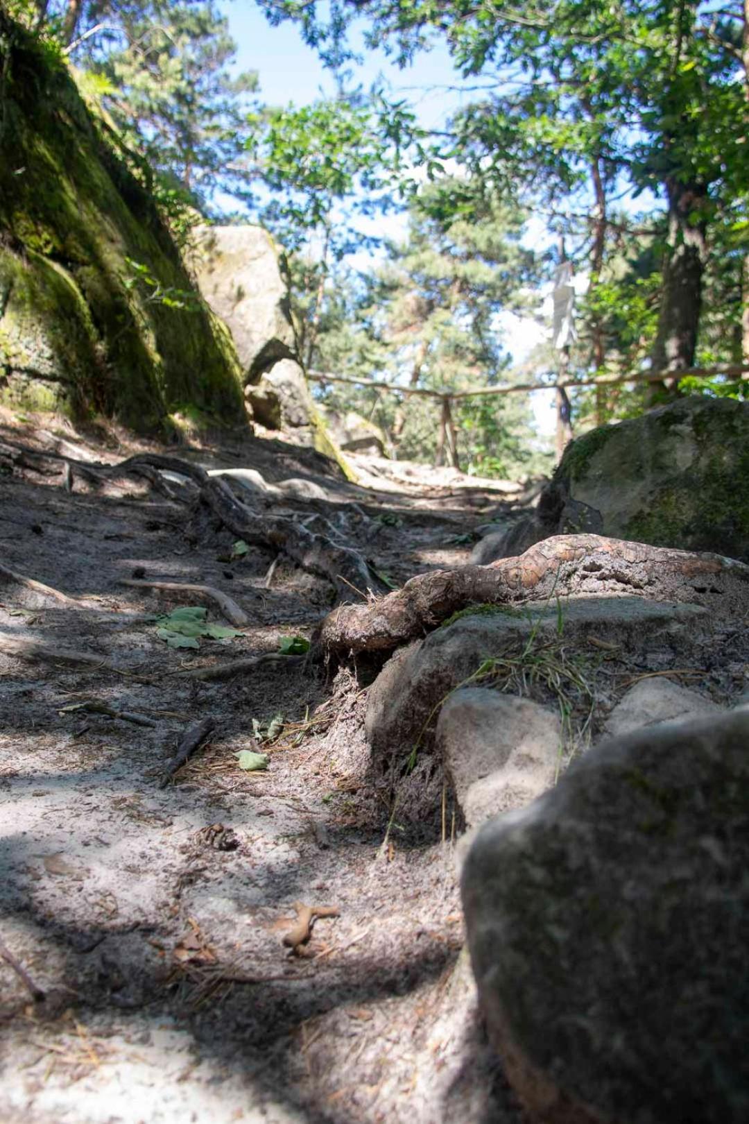 JS Feriendomizile: FeWo Nest