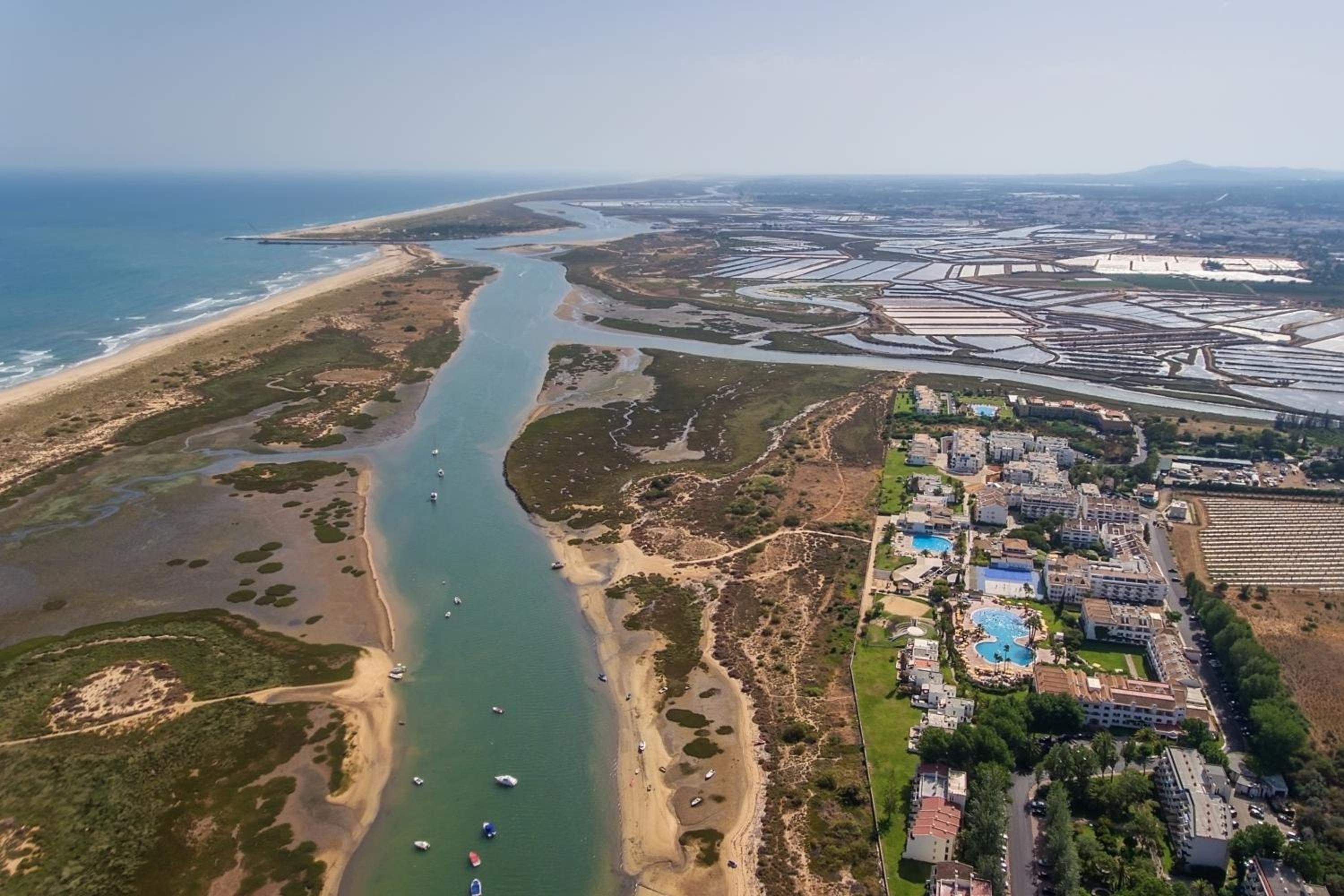Sunny Golden 1BDR Apartment w Beach & Pool Access Included