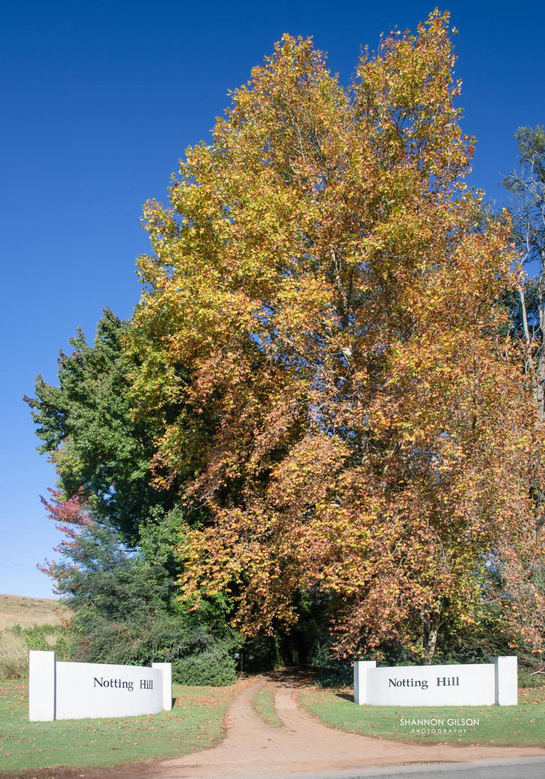 Photo 49