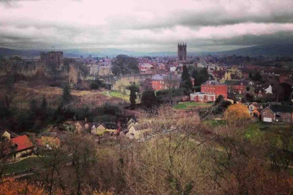 2 Lower Raven Lane, Ludlow view 3