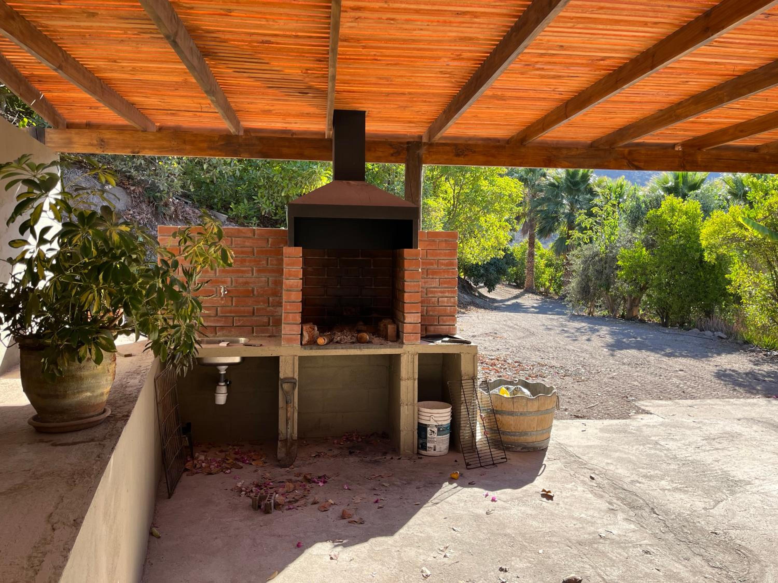 Elqui Valley Avocado Farm