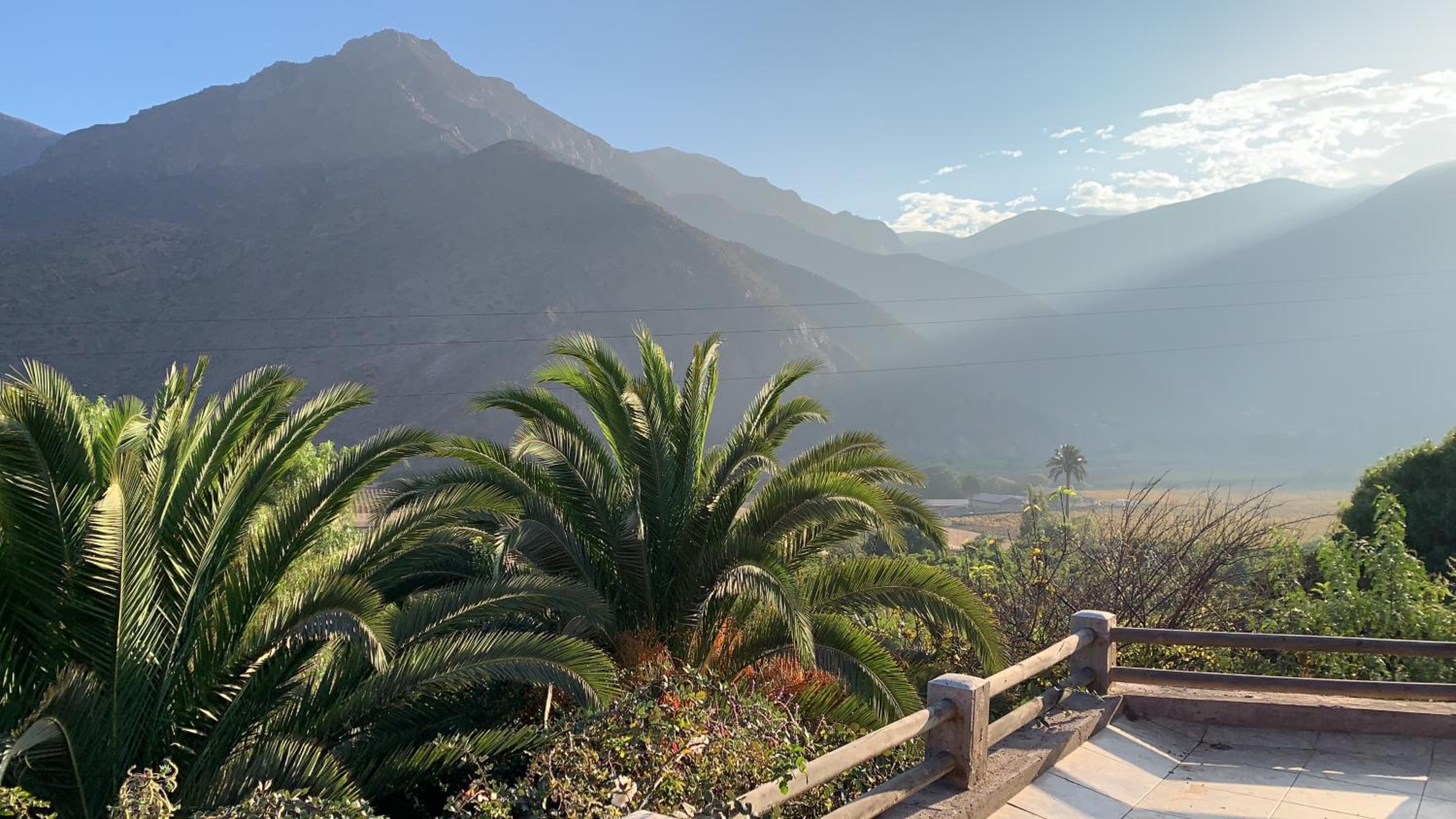 Elqui Valley Avocado Farm