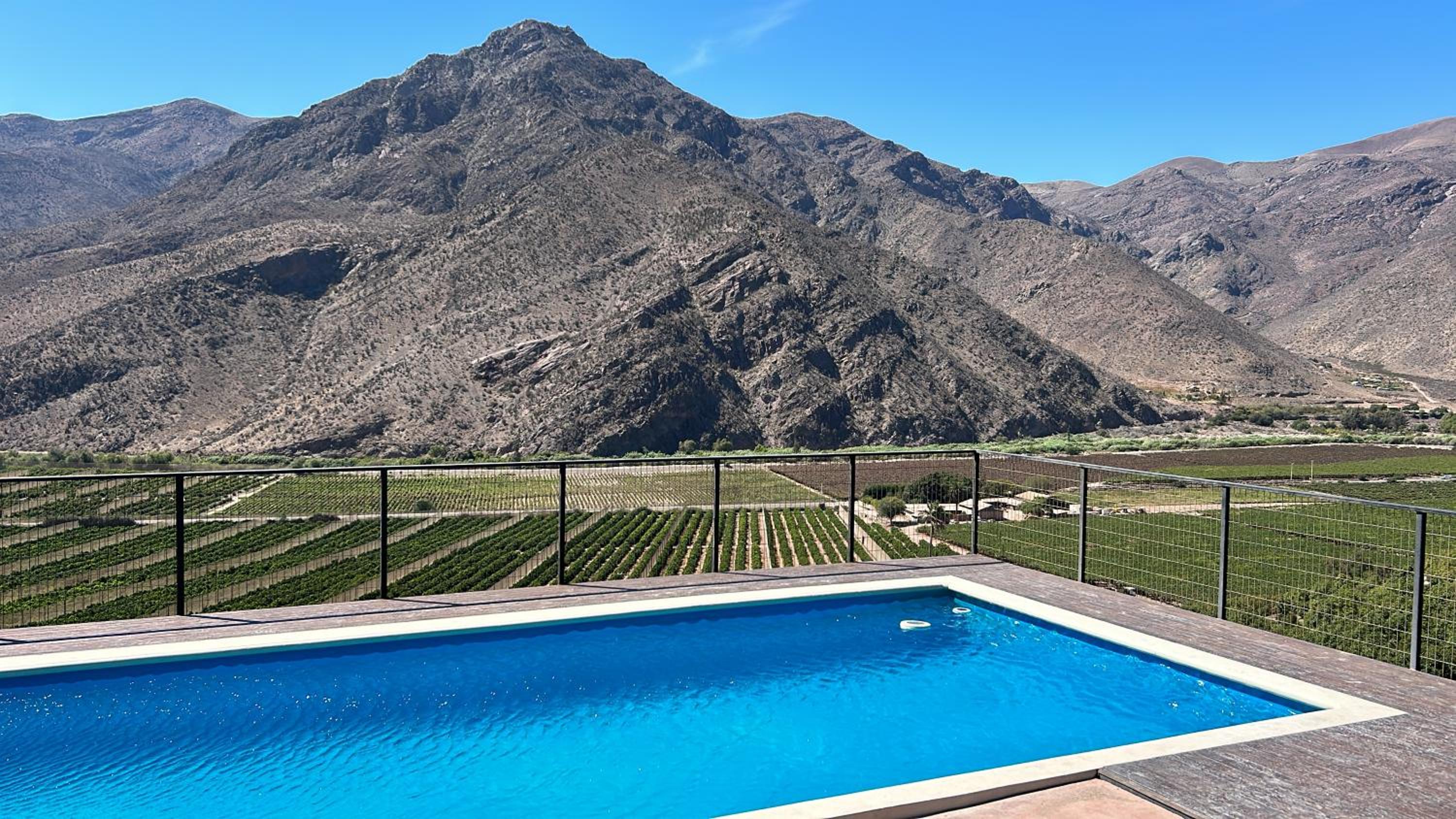 Elqui Valley Avocado Farm