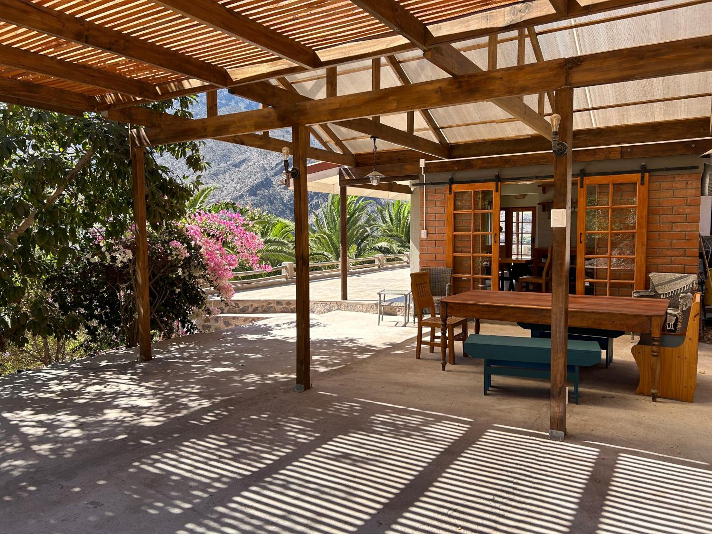 Elqui Valley Avocado Farm