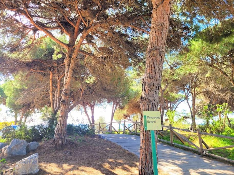 luxury 3 rooms CABOPINO view 3