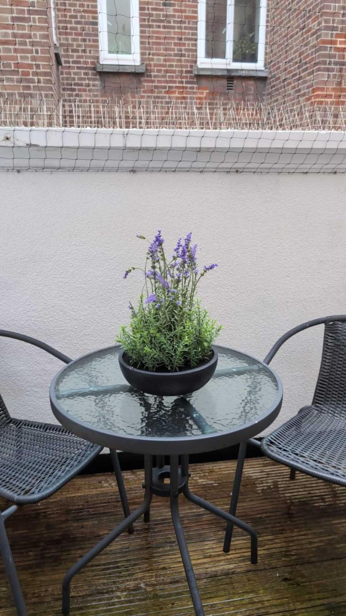 Westminster 1 bed apt with terrace and Air-Con