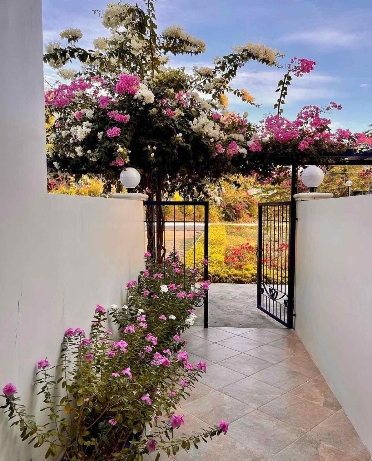 Trillo Bay Villas view 2