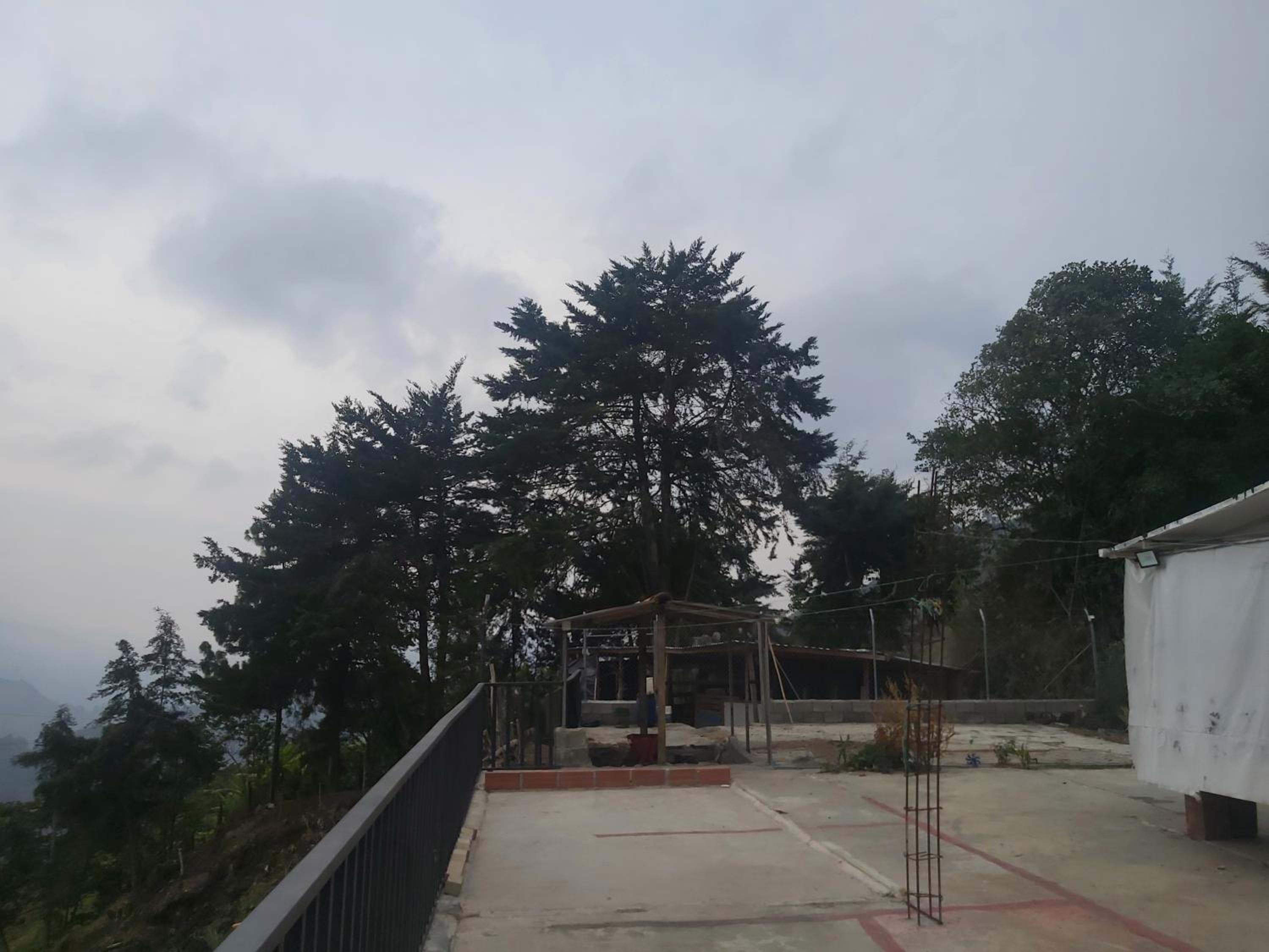 Finca La Gabriela