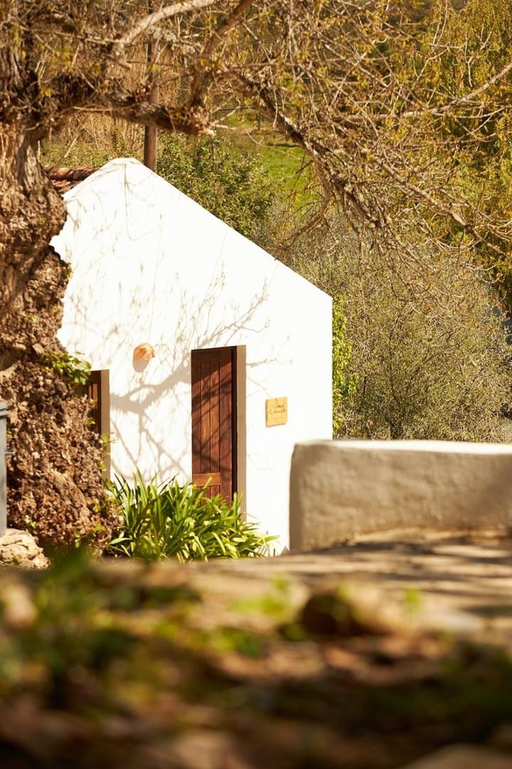 Quinta Do Marmeleiro - Casa Rosmaninho