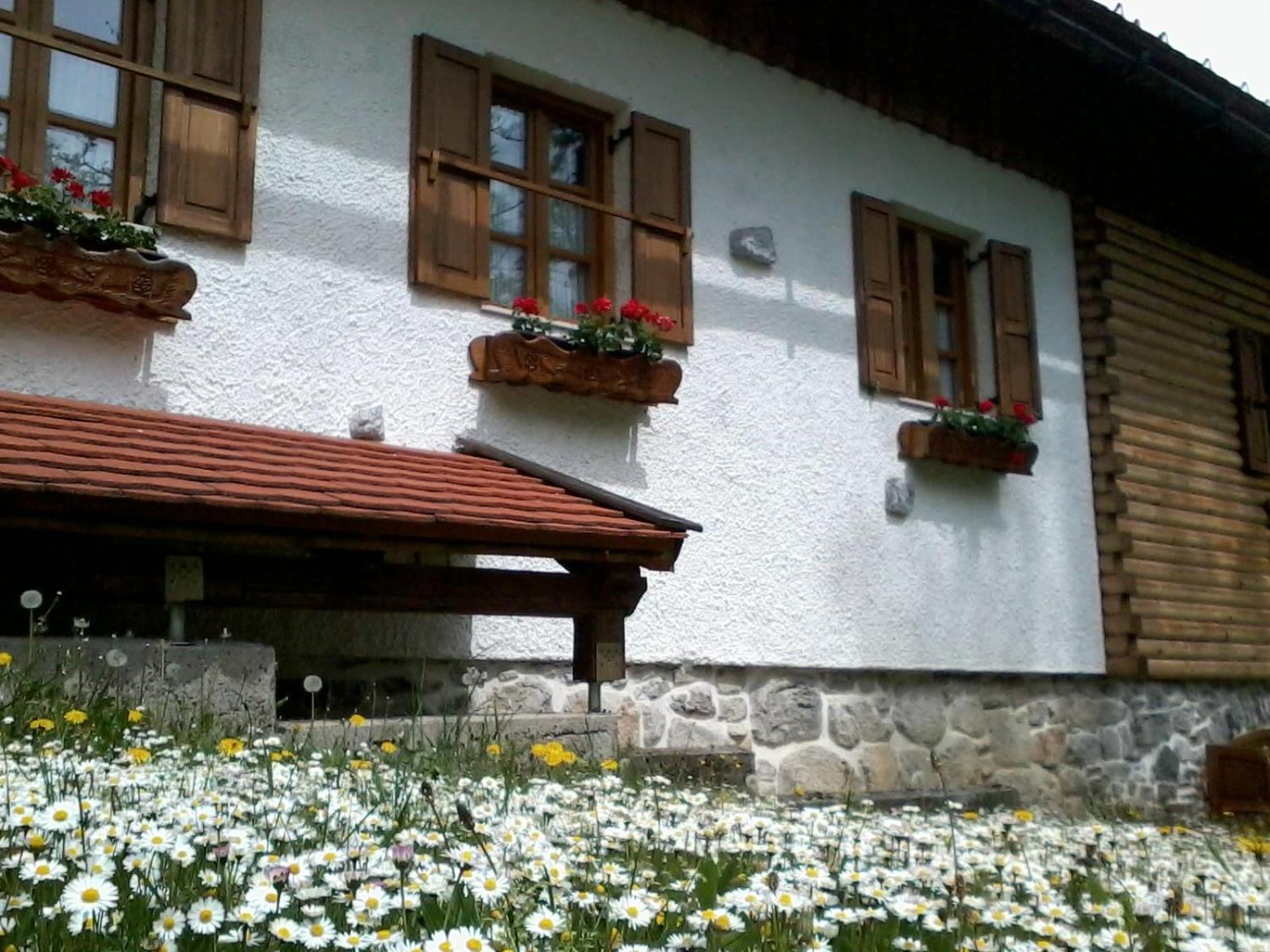 Photo 24