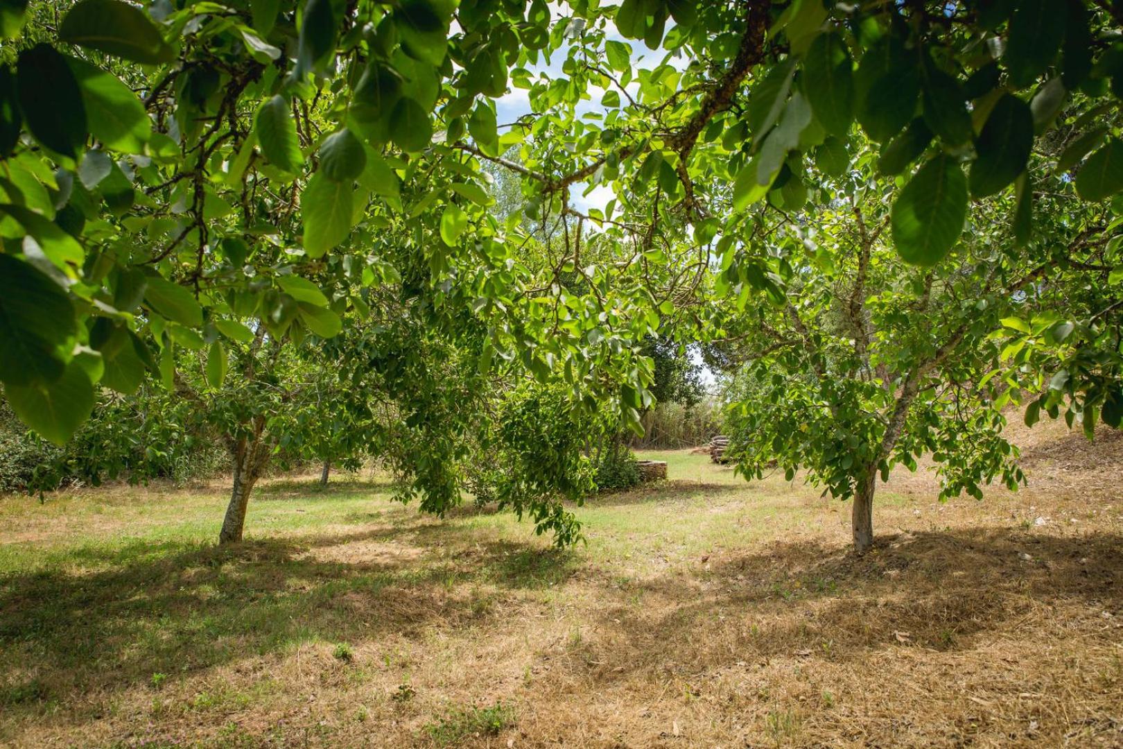 Quinta Do Marmeleiro - Casa Rosmaninho