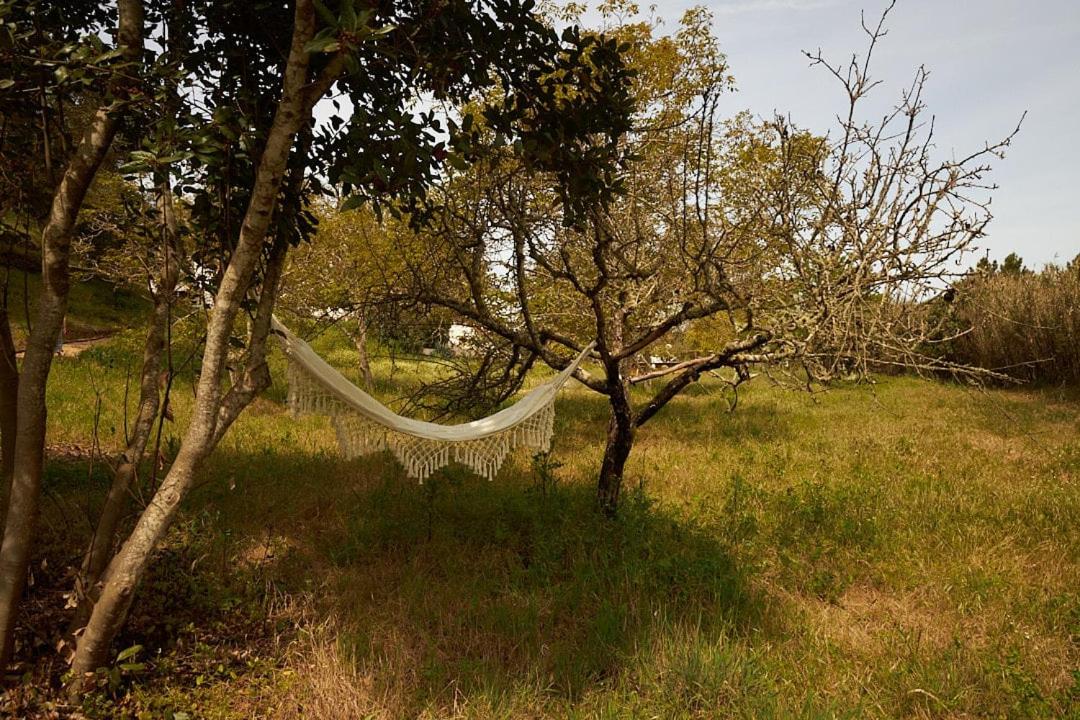 Quinta Do Marmeleiro - Casa Rosmaninho