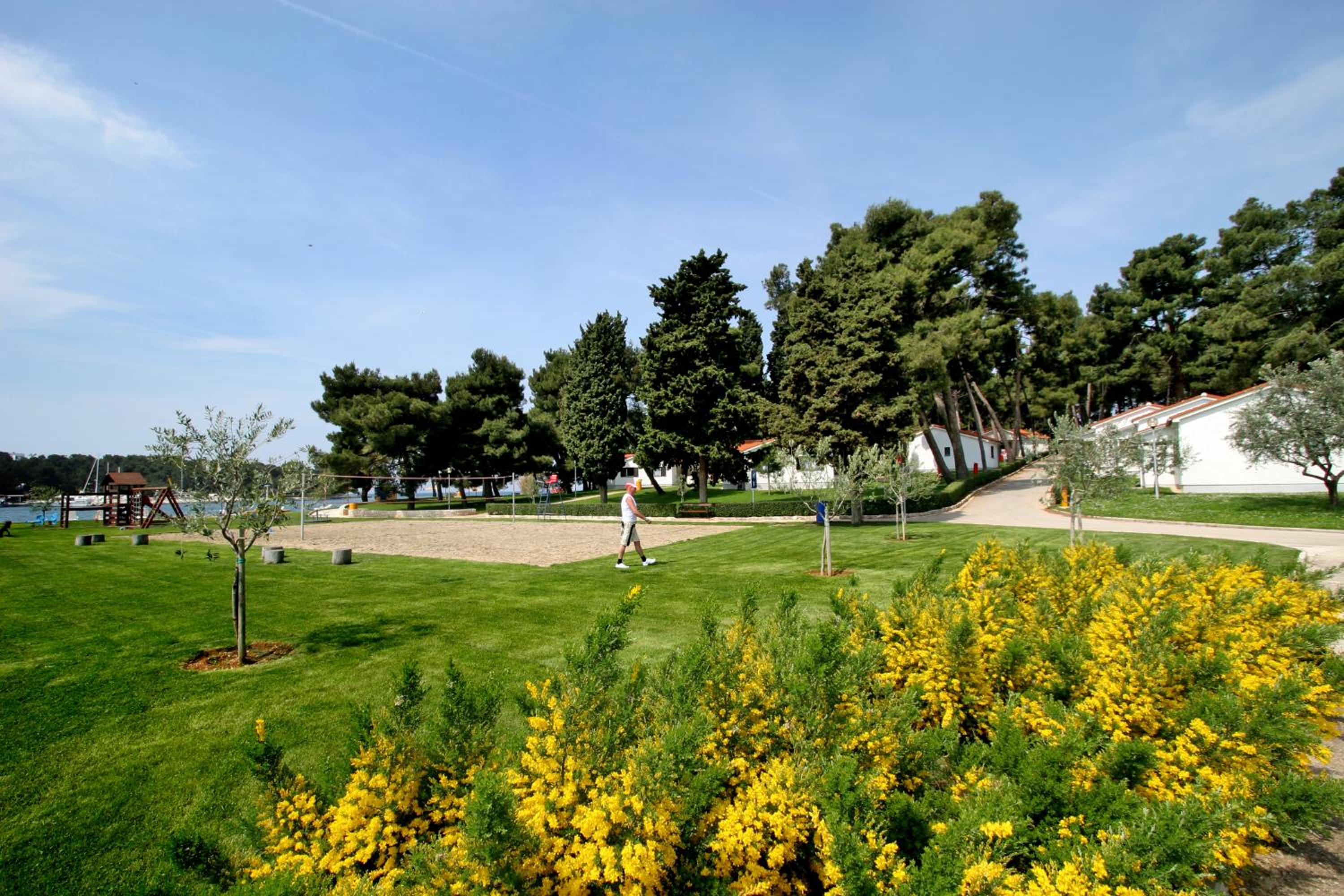 Apartments Galijot Plava Laguna
