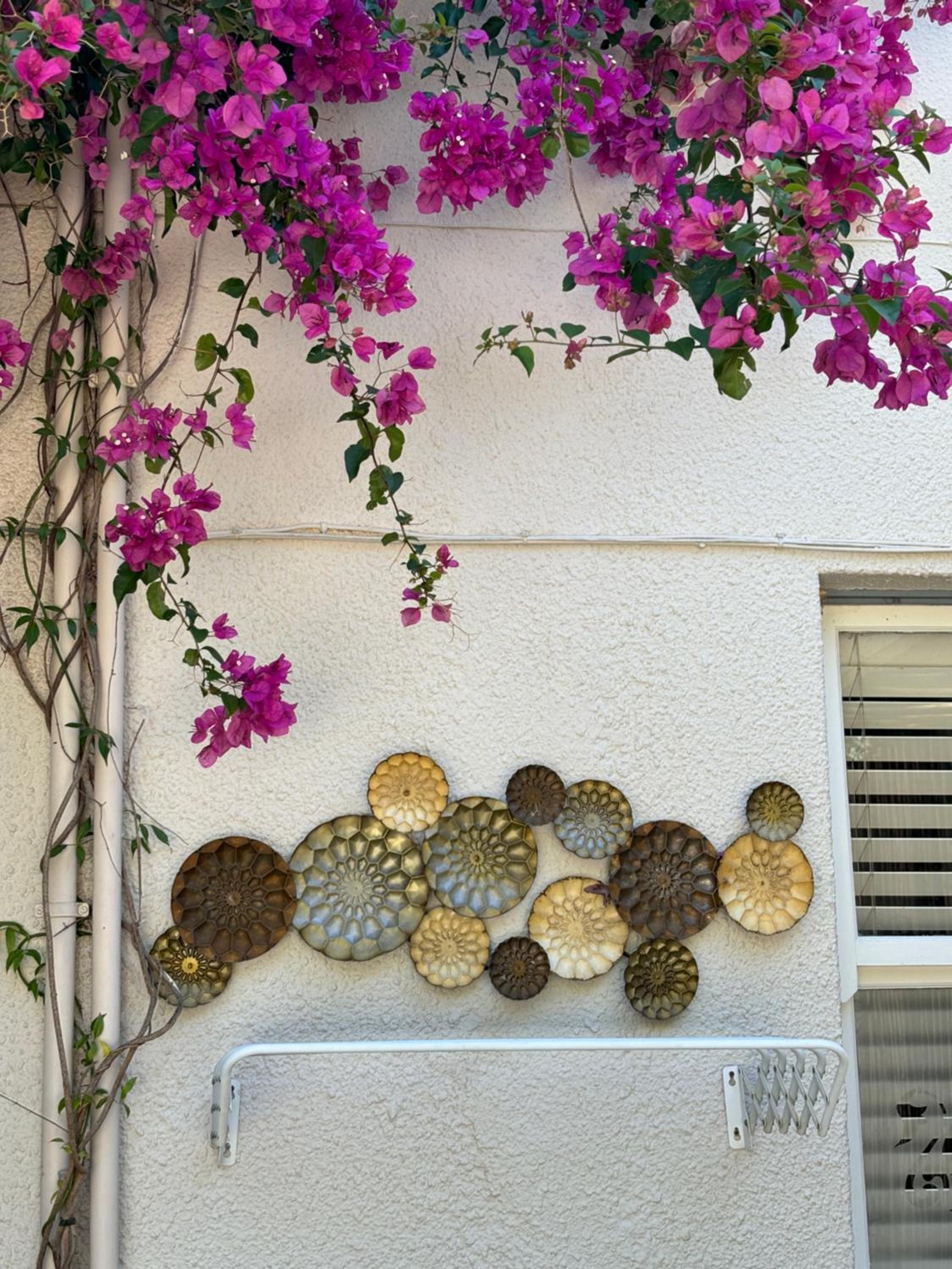 In the Vine Country Manor Guesthouse