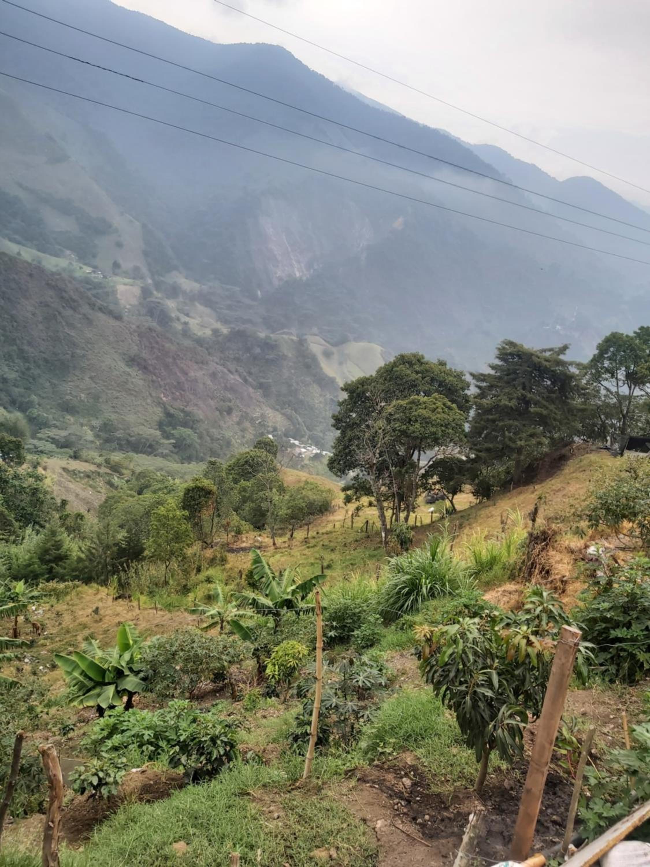 Finca La Gabriela