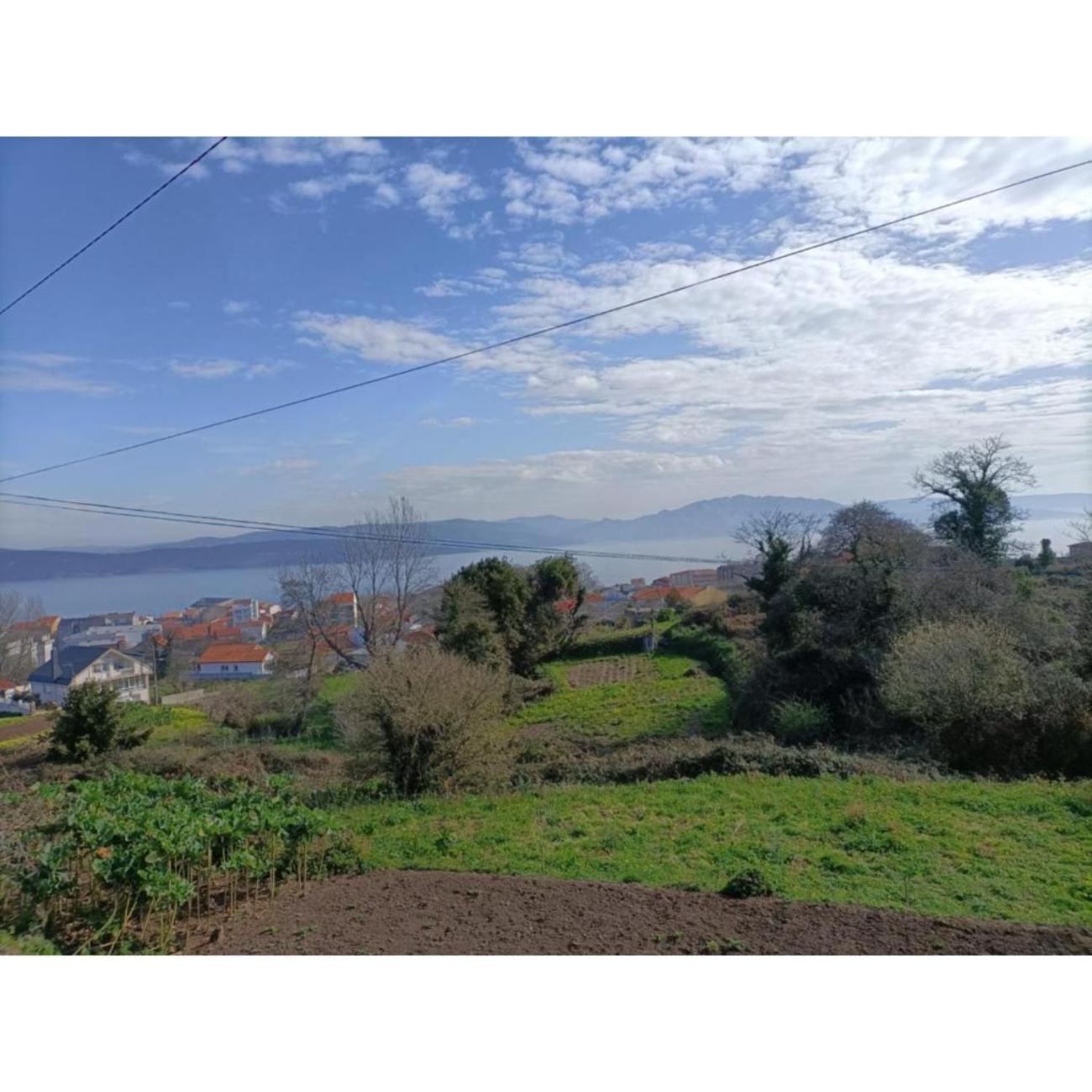 Meraki photo 1