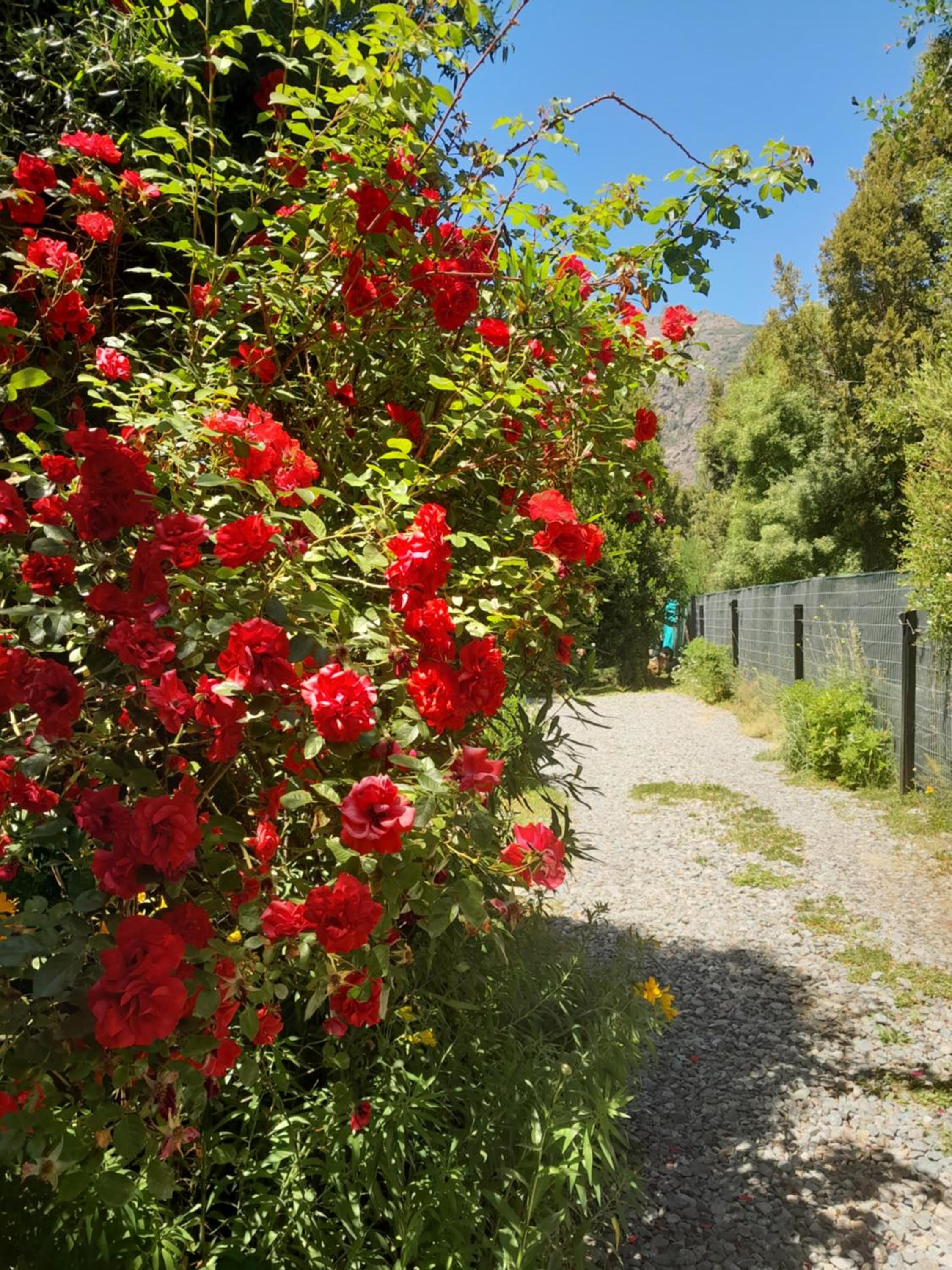 Paraiso Bariloche