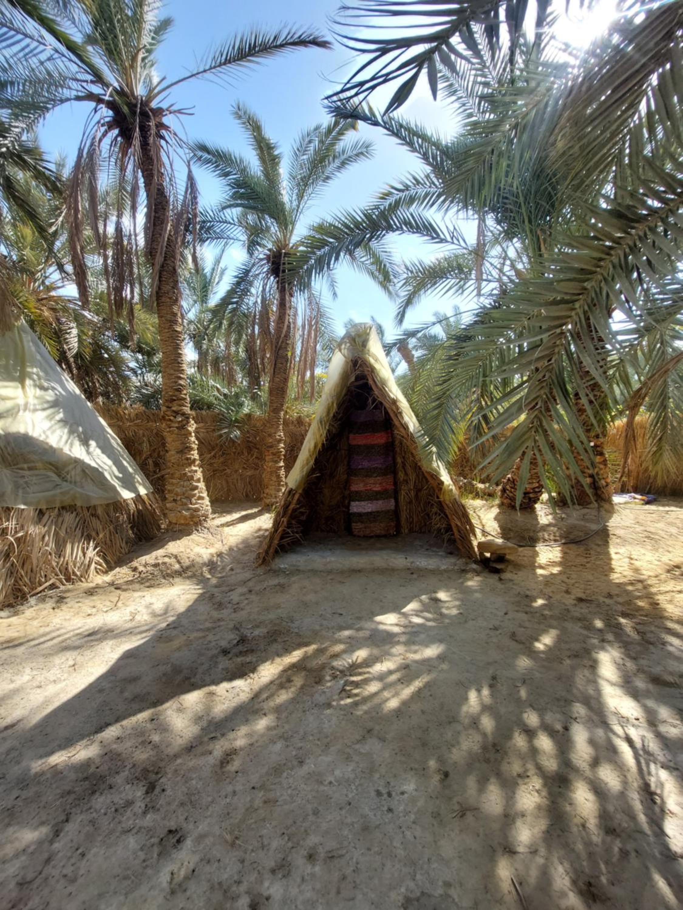 Forest Camp Siwa - كامب الغابة