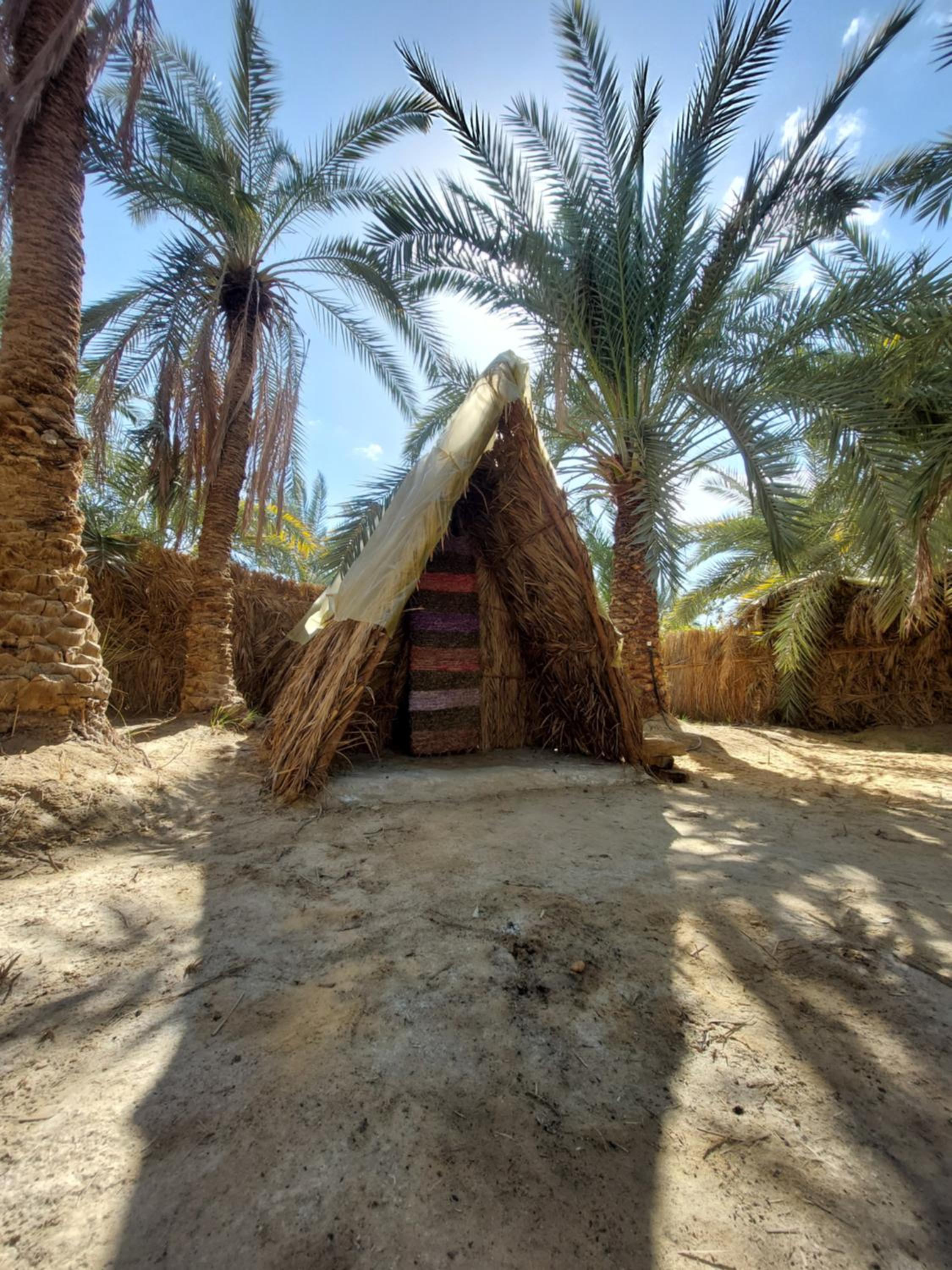 Forest Camp Siwa - كامب الغابة