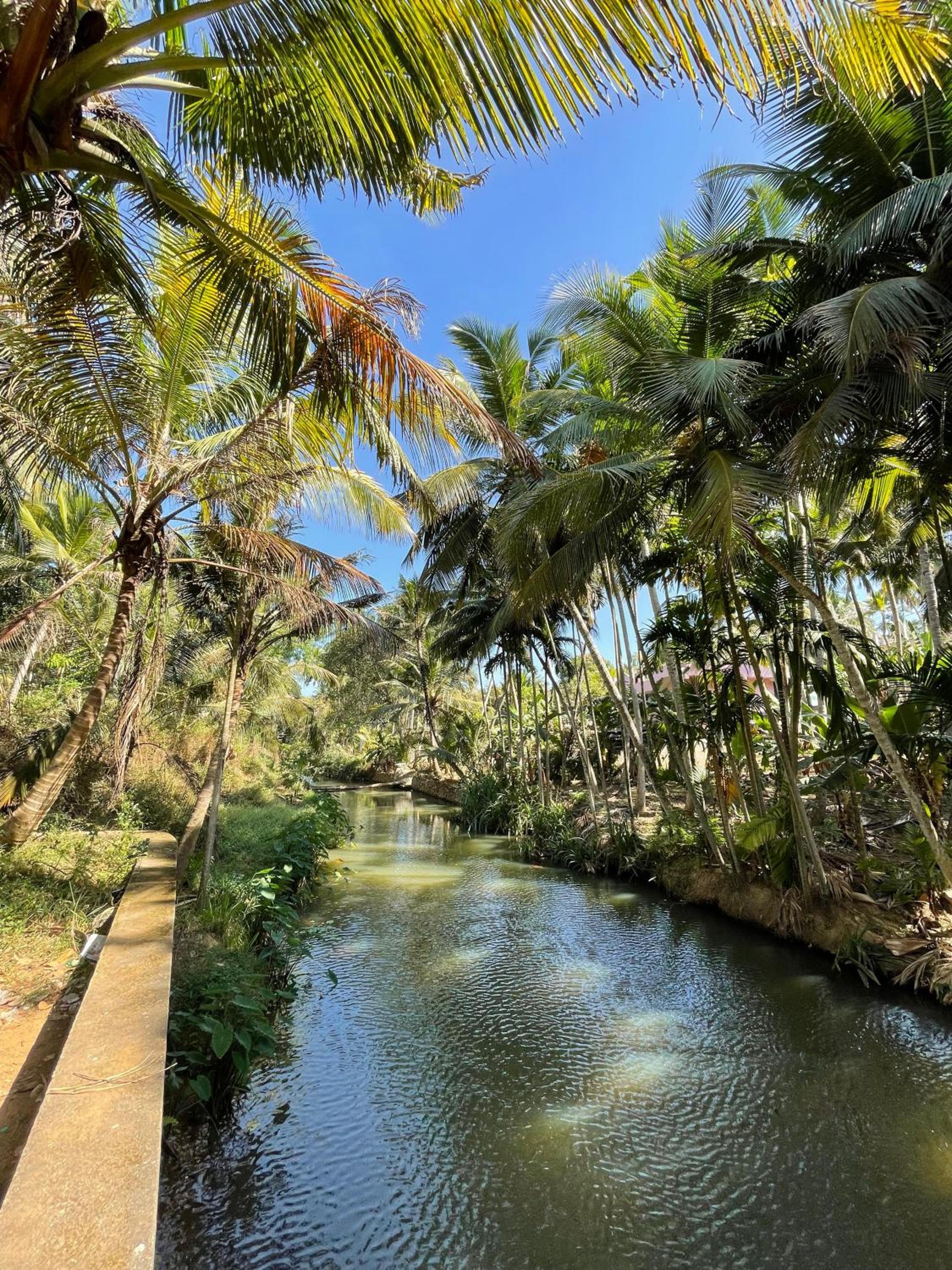 Photo 35