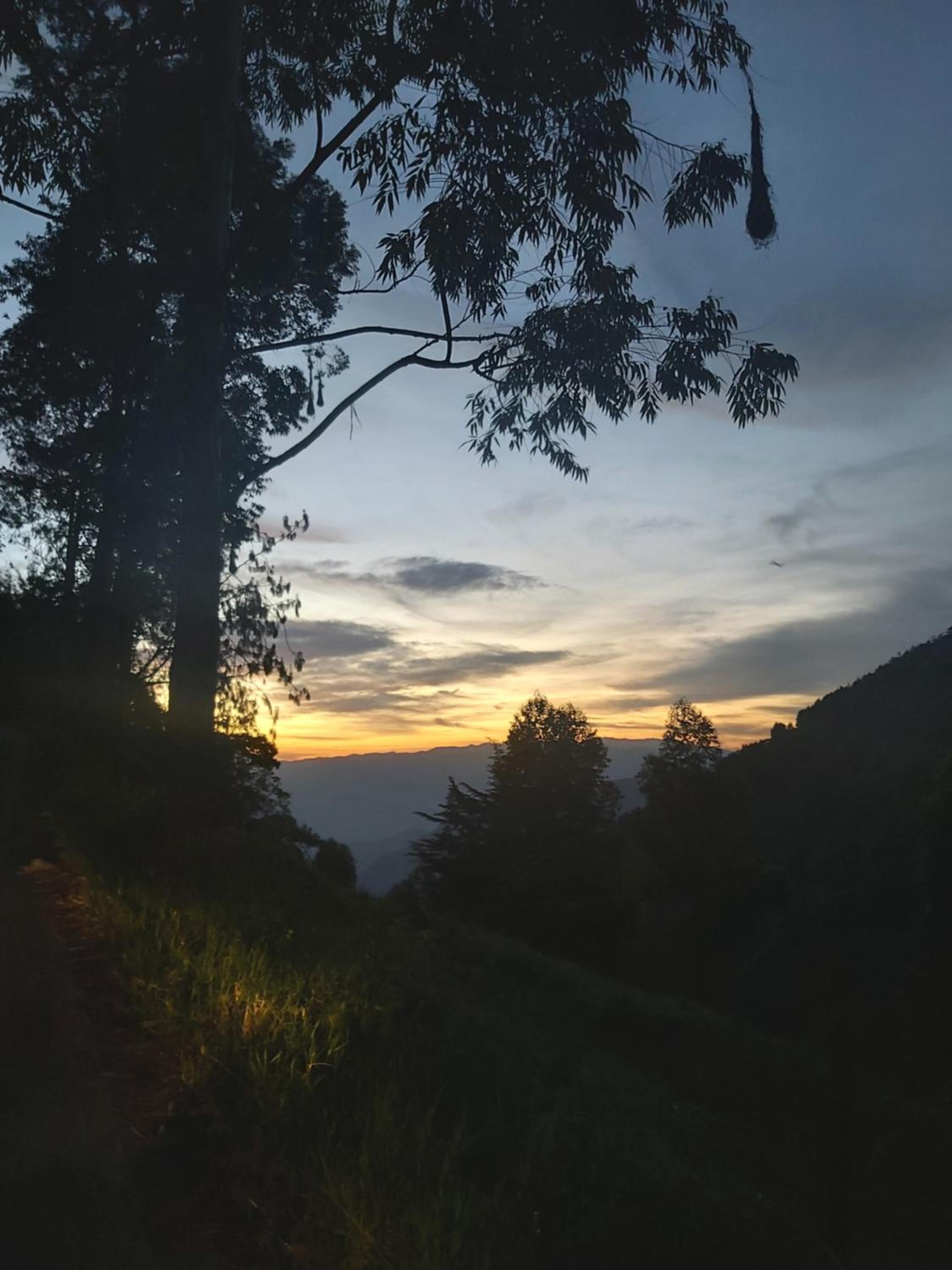 Finca La Gabriela