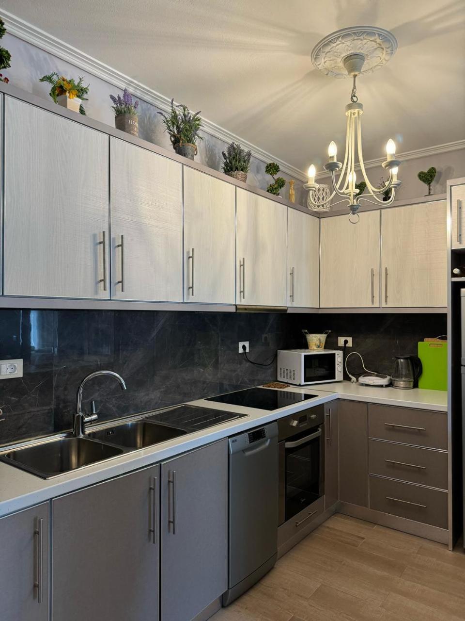 Mimosa Luxury Apartment