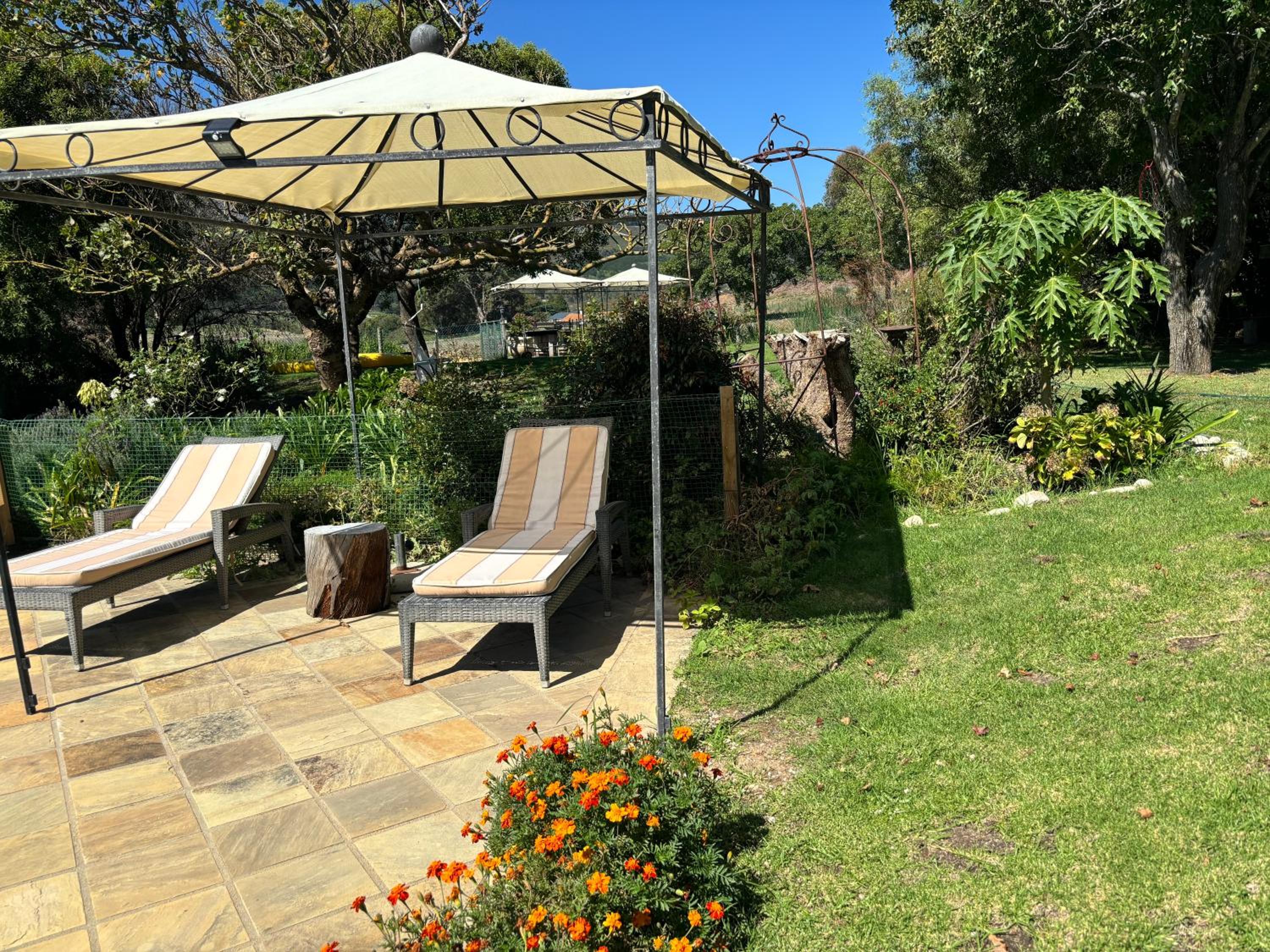 In the Vine Country Manor Guesthouse