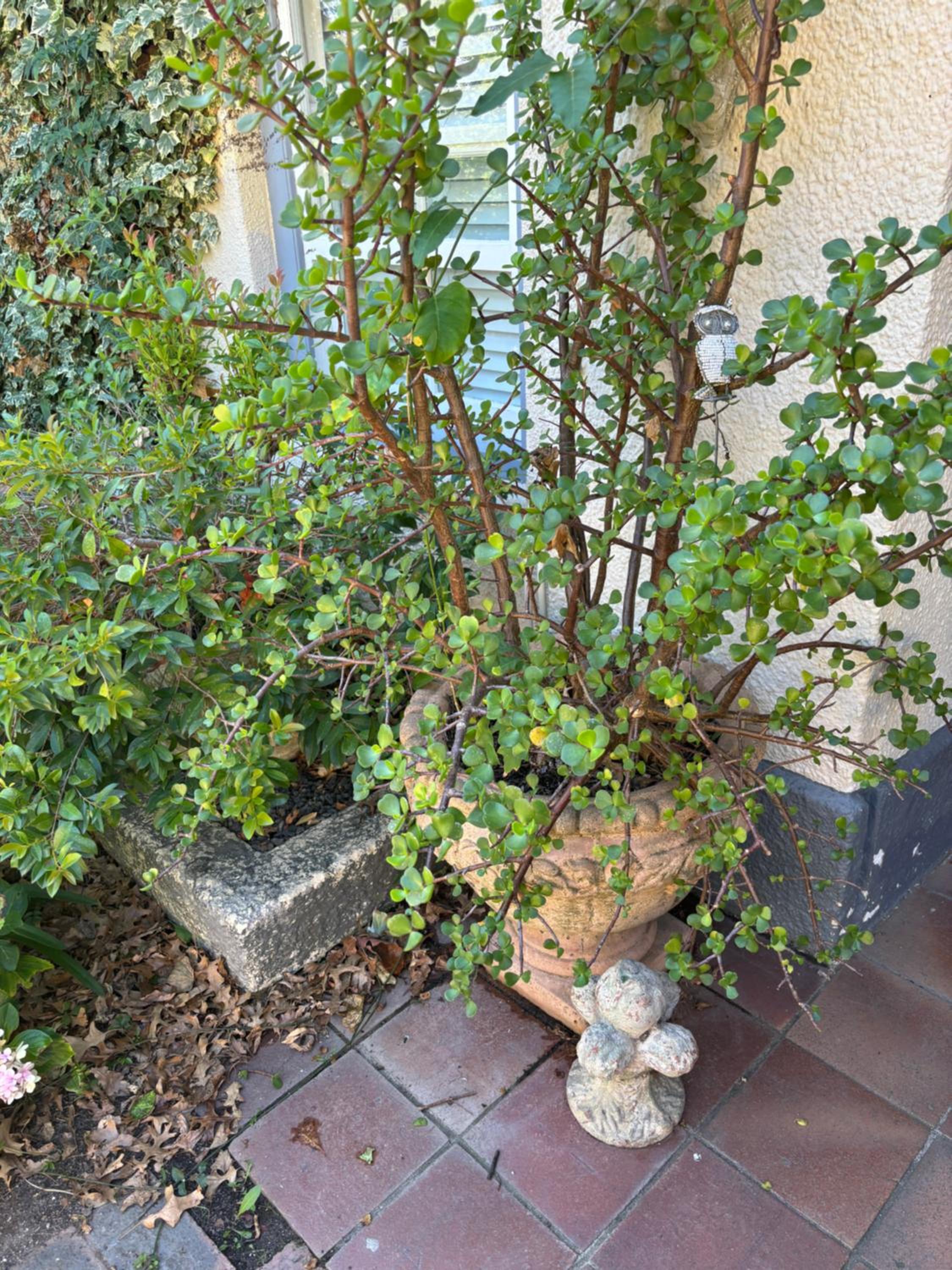 In the Vine Country Manor Guesthouse