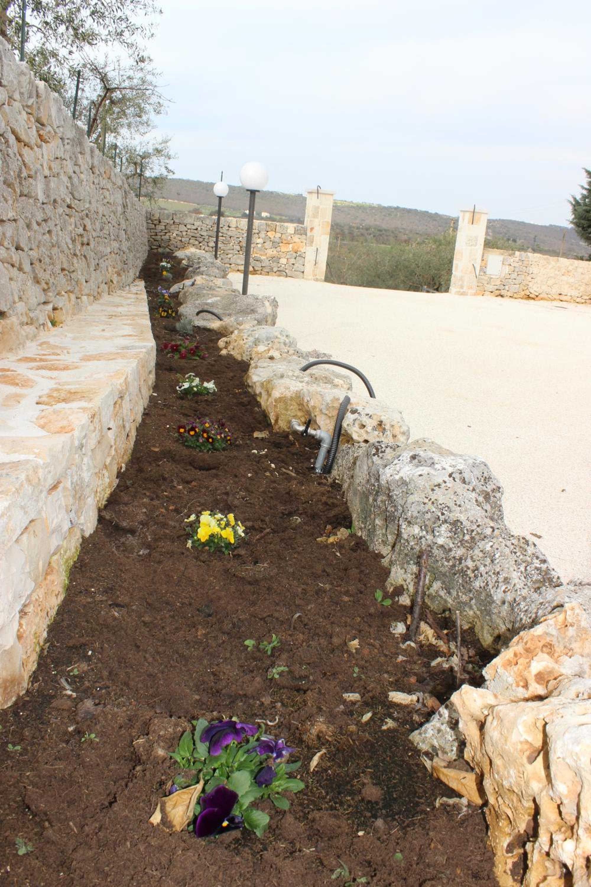 Photo 42