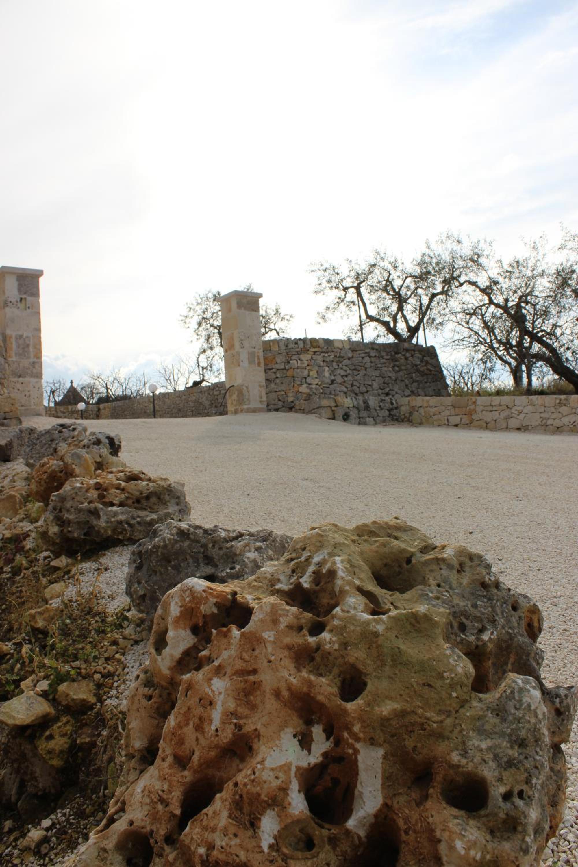 Photo 46
