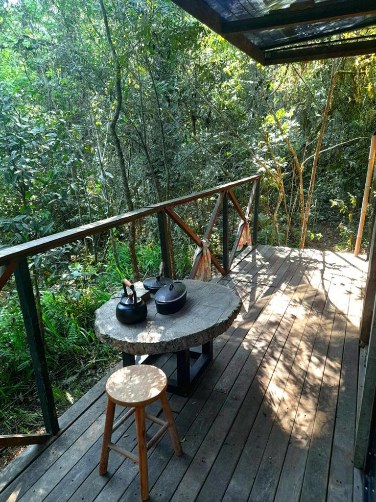 Bosque Contêiner Eco Guaricana