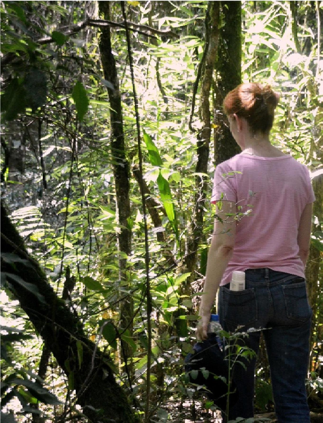 Bosque Contêiner Eco Guaricana