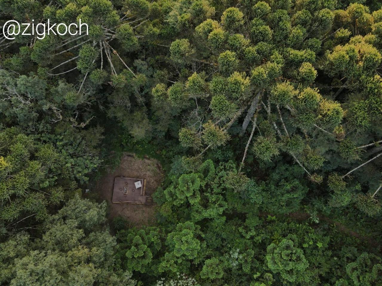 Bosque Contêiner Eco Guaricana