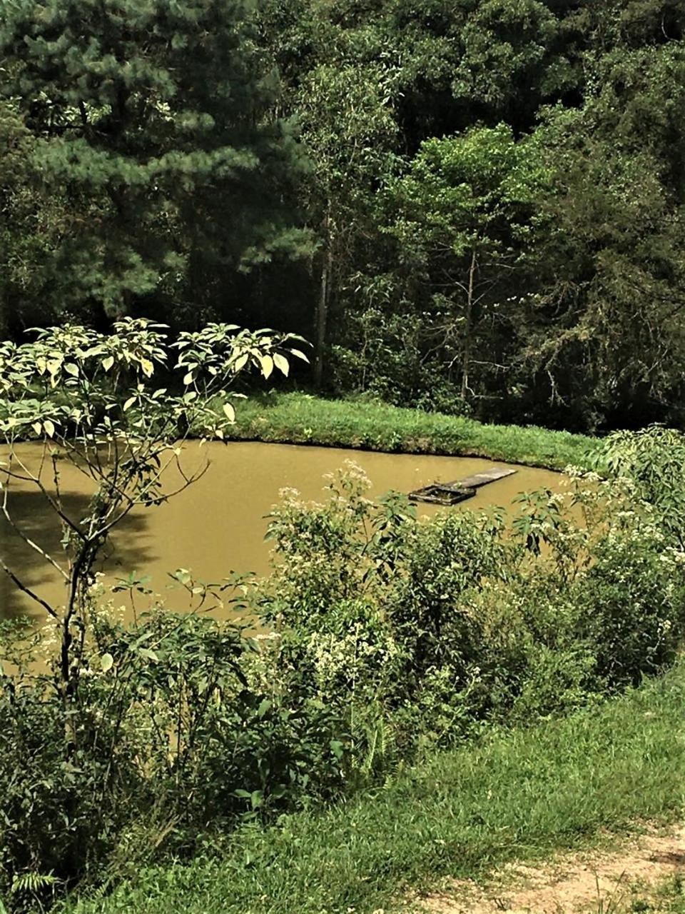 Bosque Contêiner Eco Guaricana