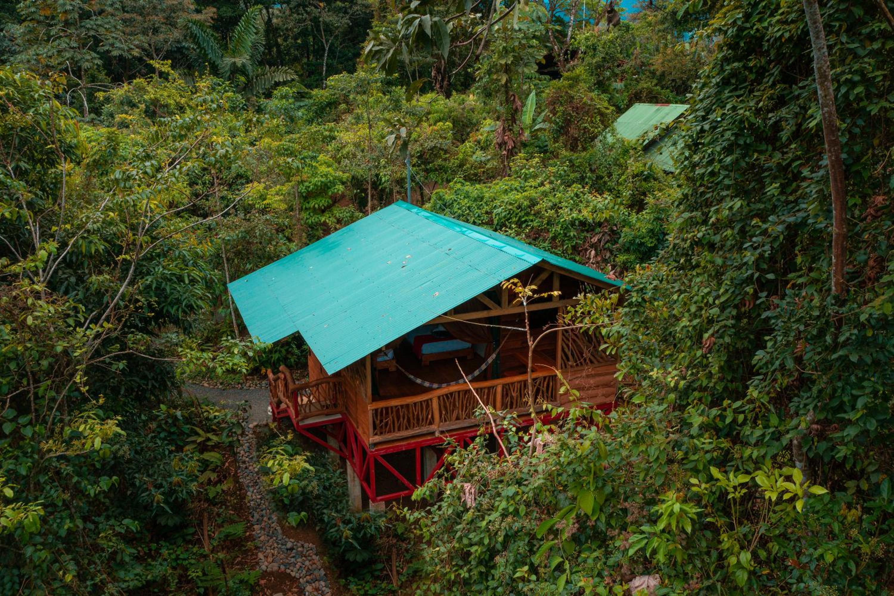 La Tigra Rainforest Lodge