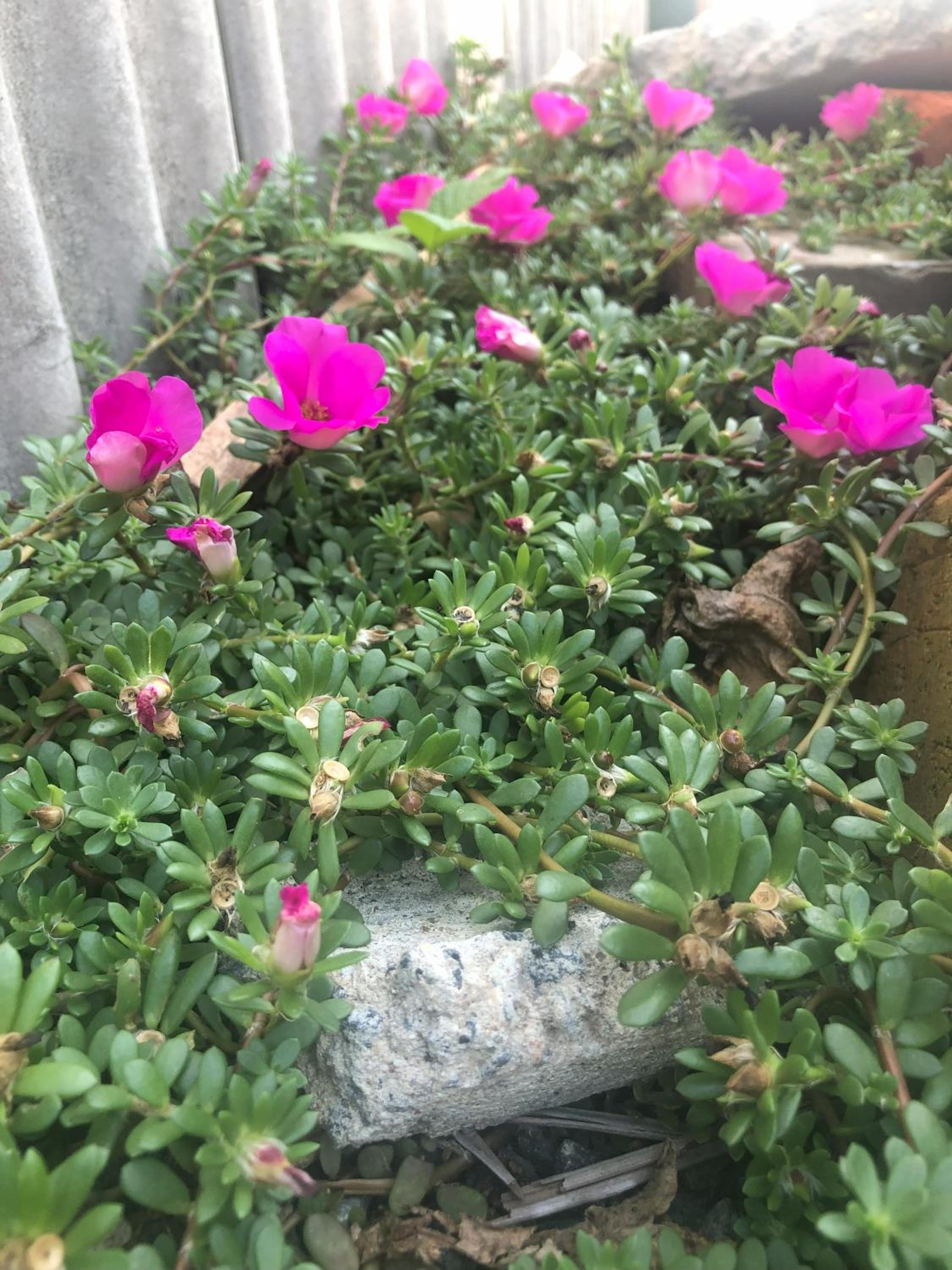 Photo 43