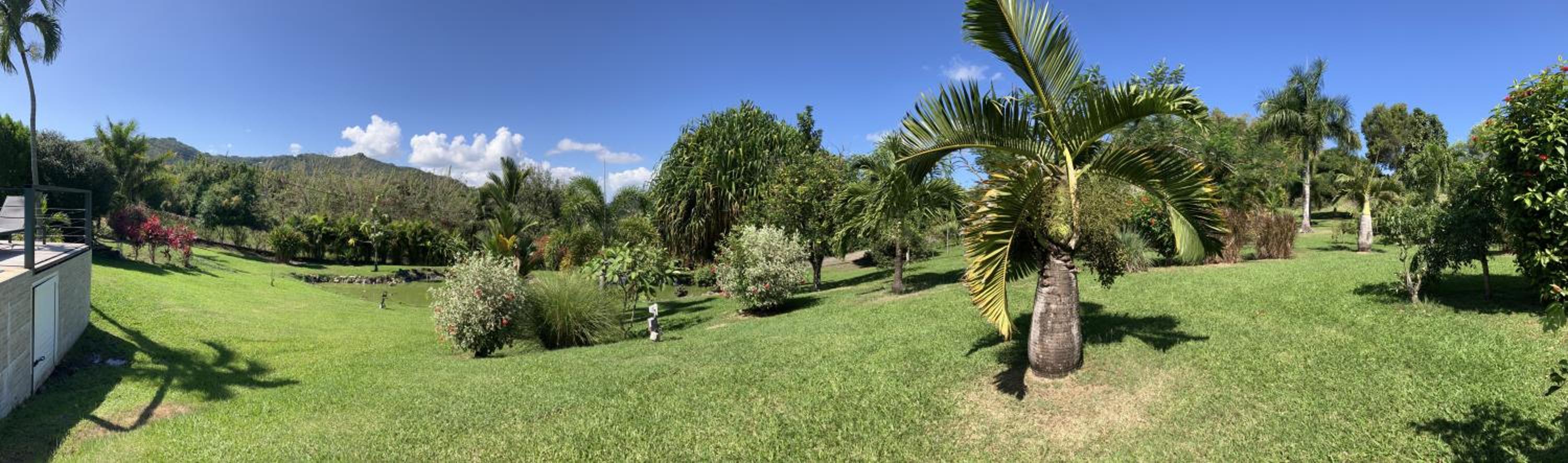 LADILAFE