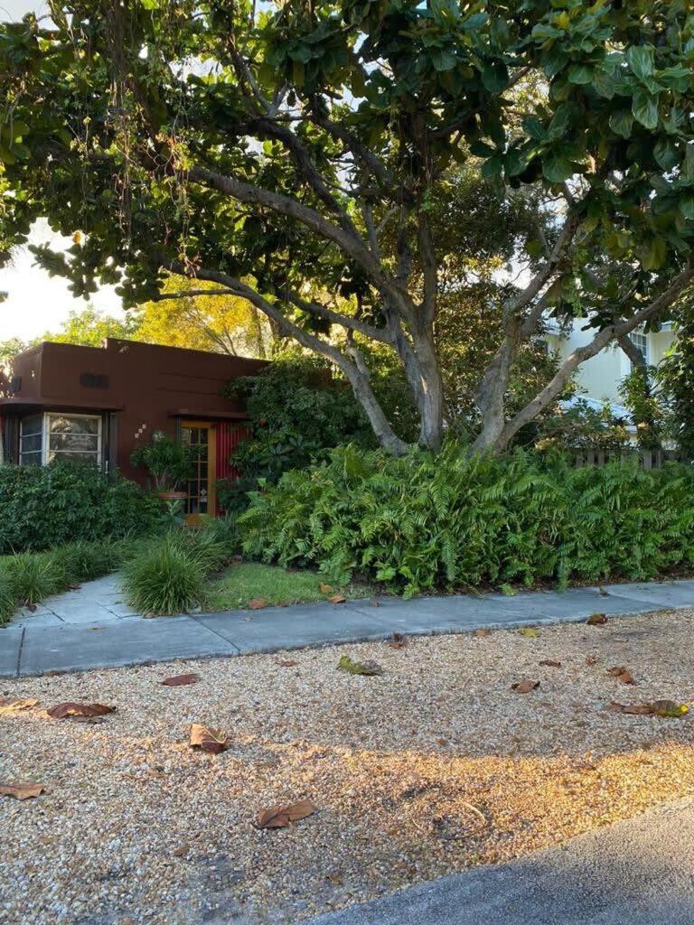 Delight and cozy Apt close to Las Olas & the beach view 5