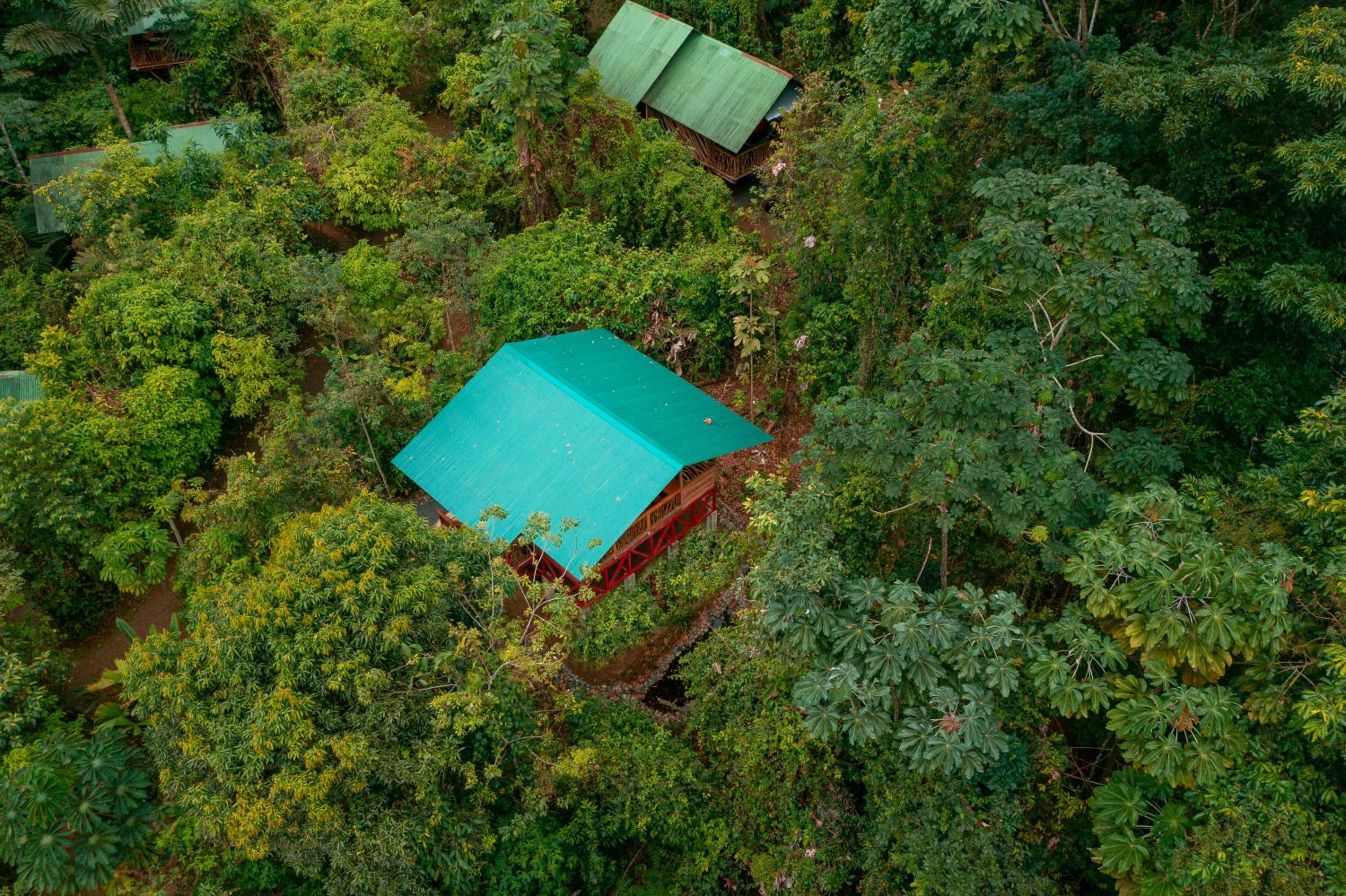 La Tigra Rainforest Lodge