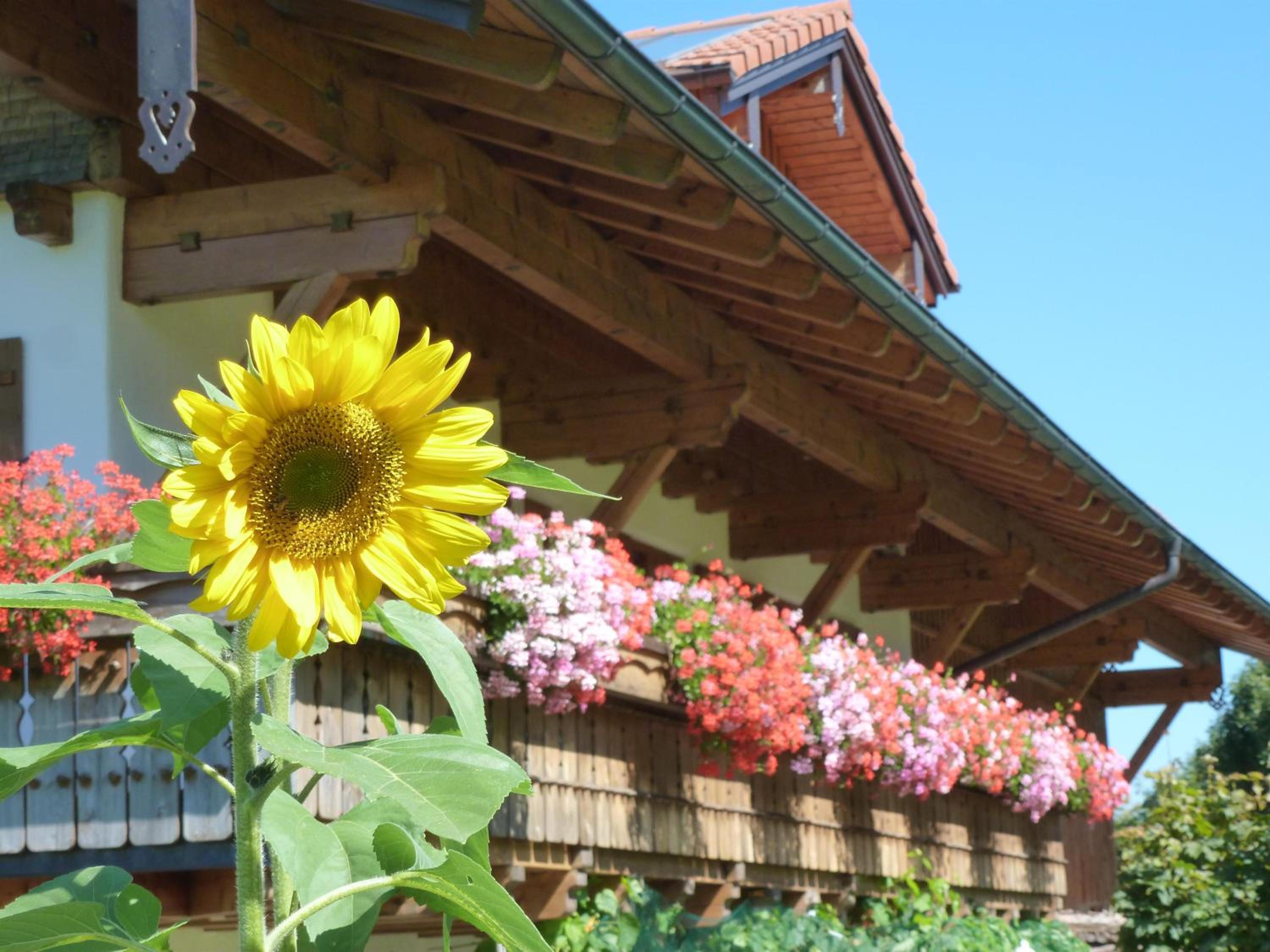 AlpenFerienLandhaus Müller