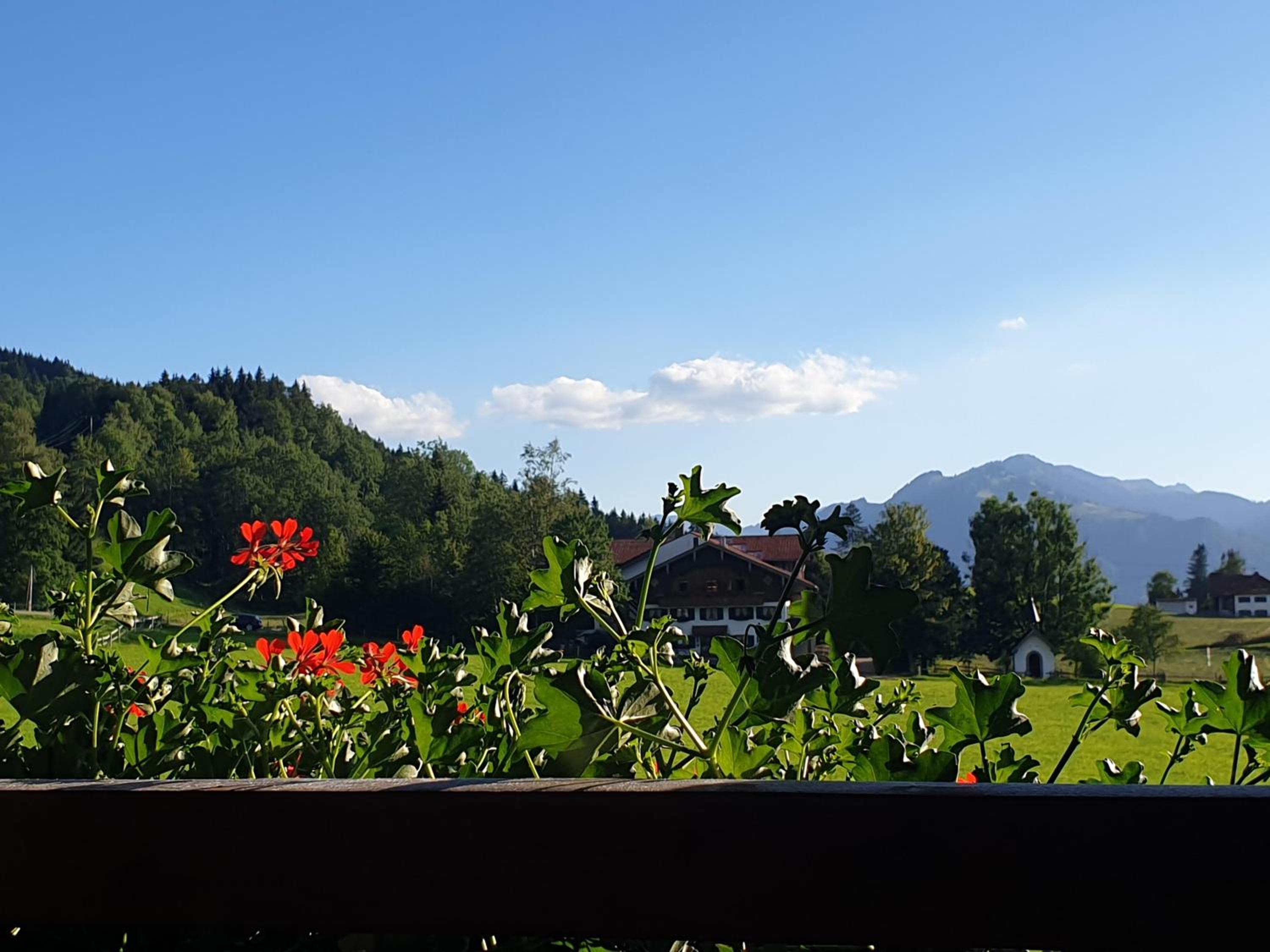 AlpenFerienLandhaus Müller