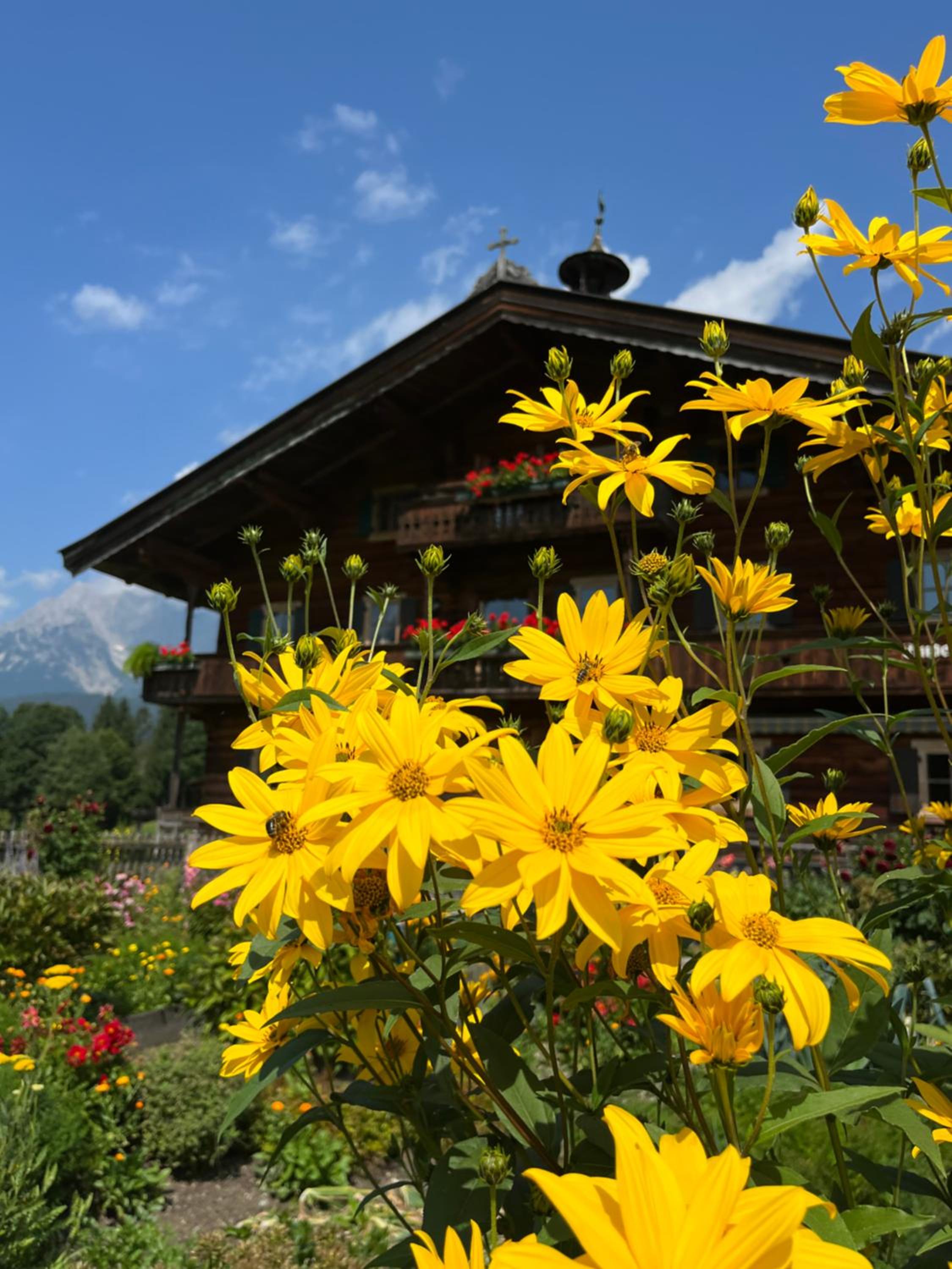 Pension Mirabelle