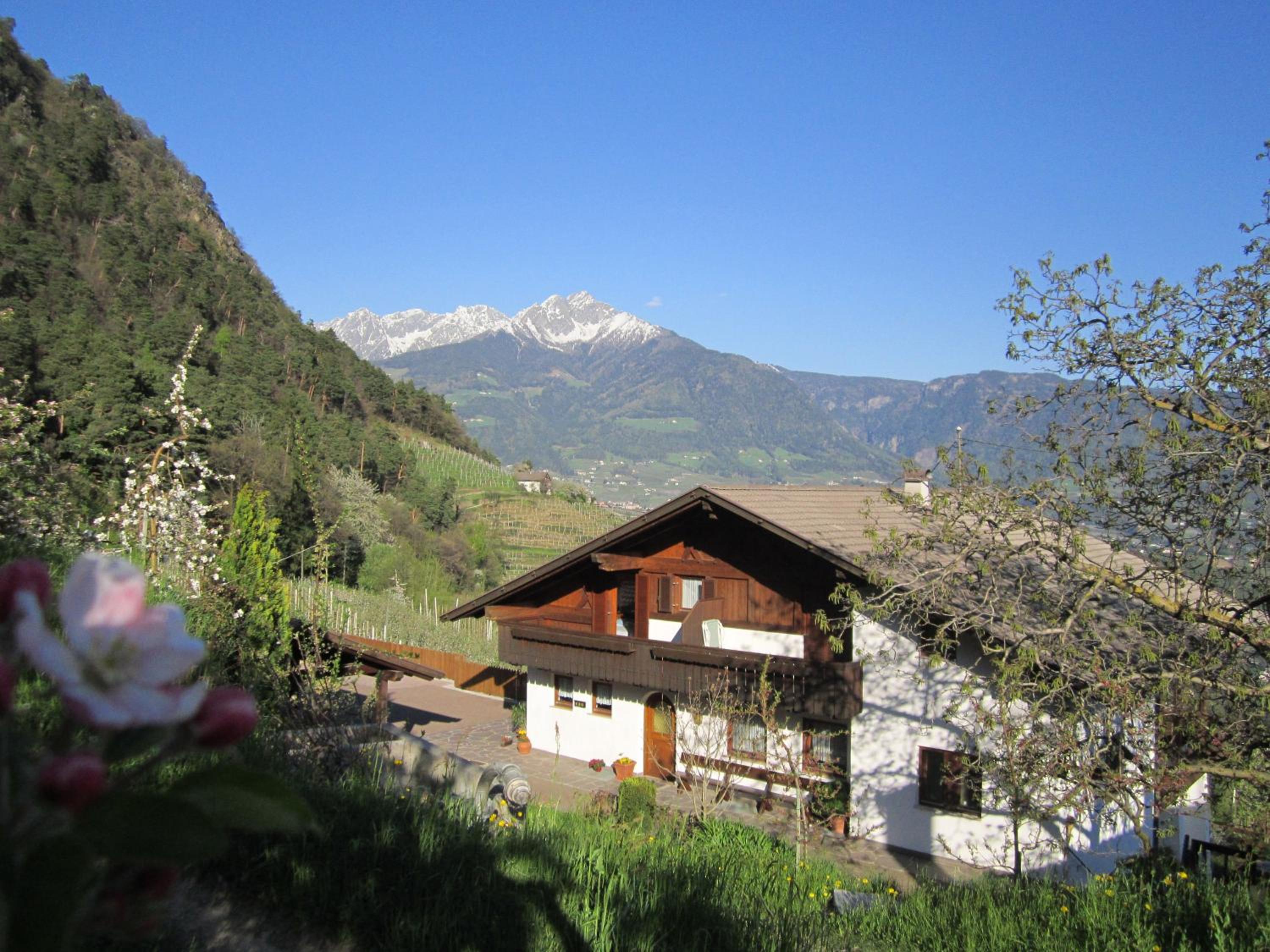 Oberötzbauer Apartment Enzian