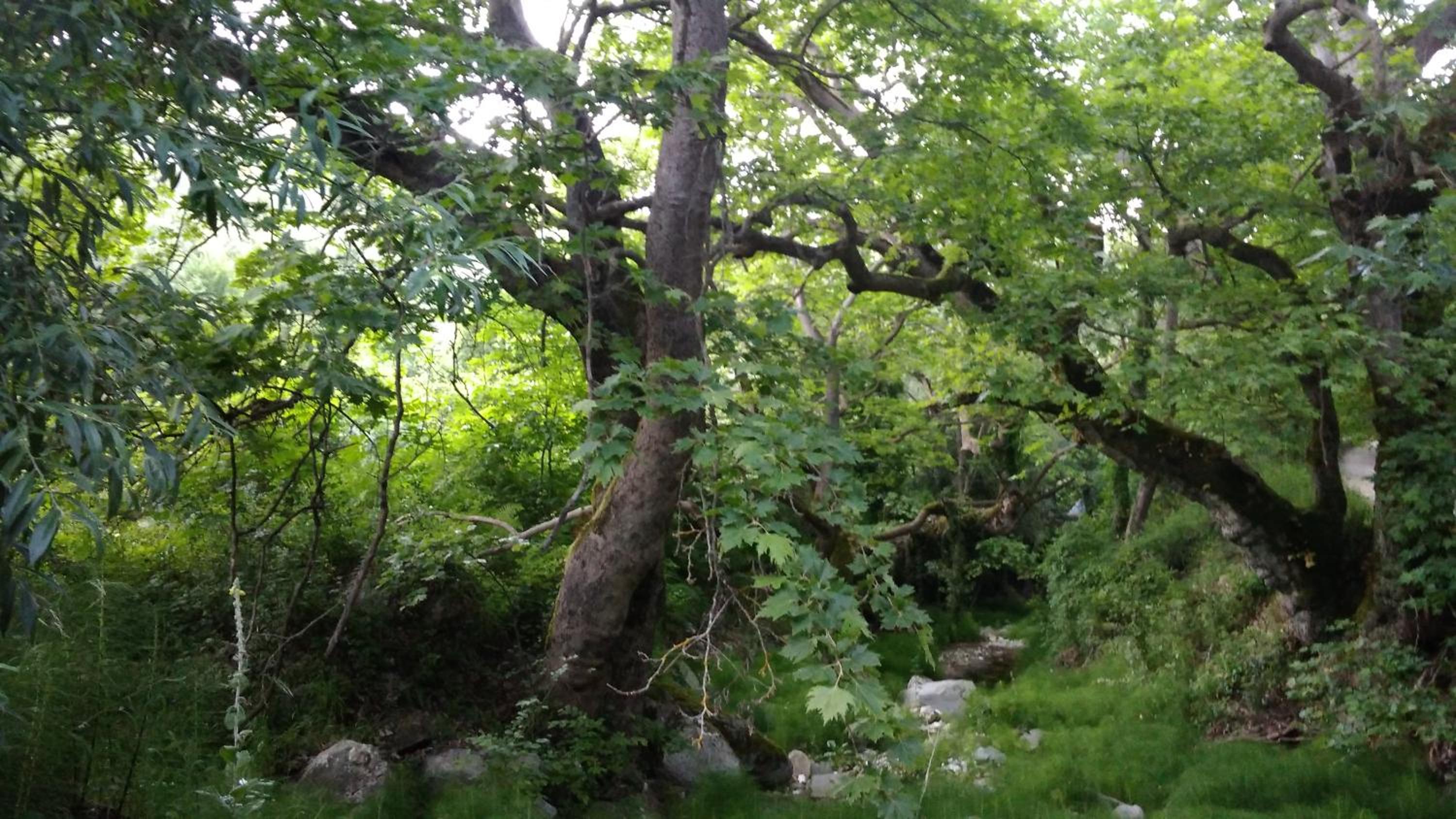 The StoneHouse